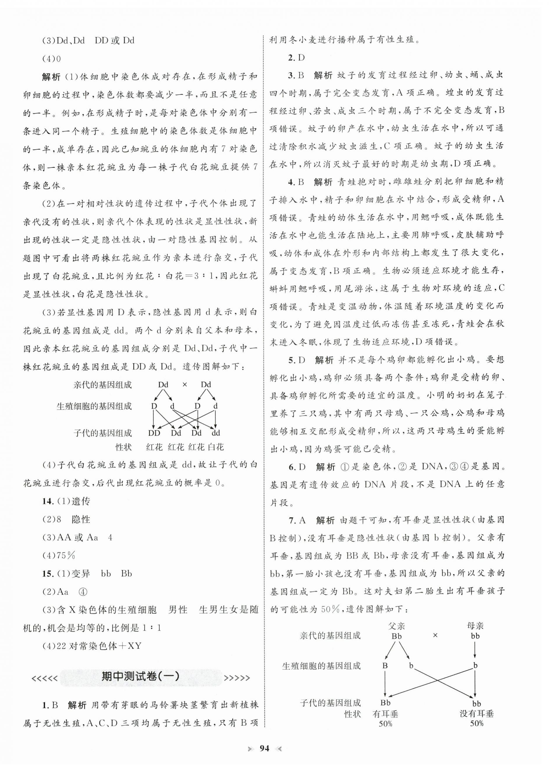 2025年學(xué)習(xí)目標(biāo)與檢測(cè)同步測(cè)試卷八年級(jí)生物下冊(cè)人教版 第6頁