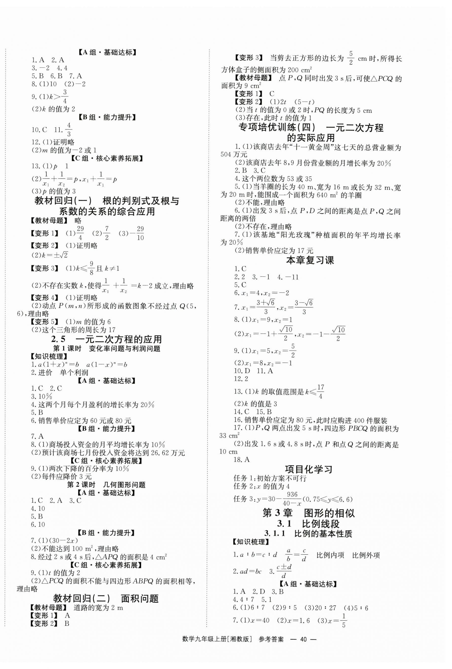2025年全效学习同步学练测九年级数学上册湘教版 第4页
