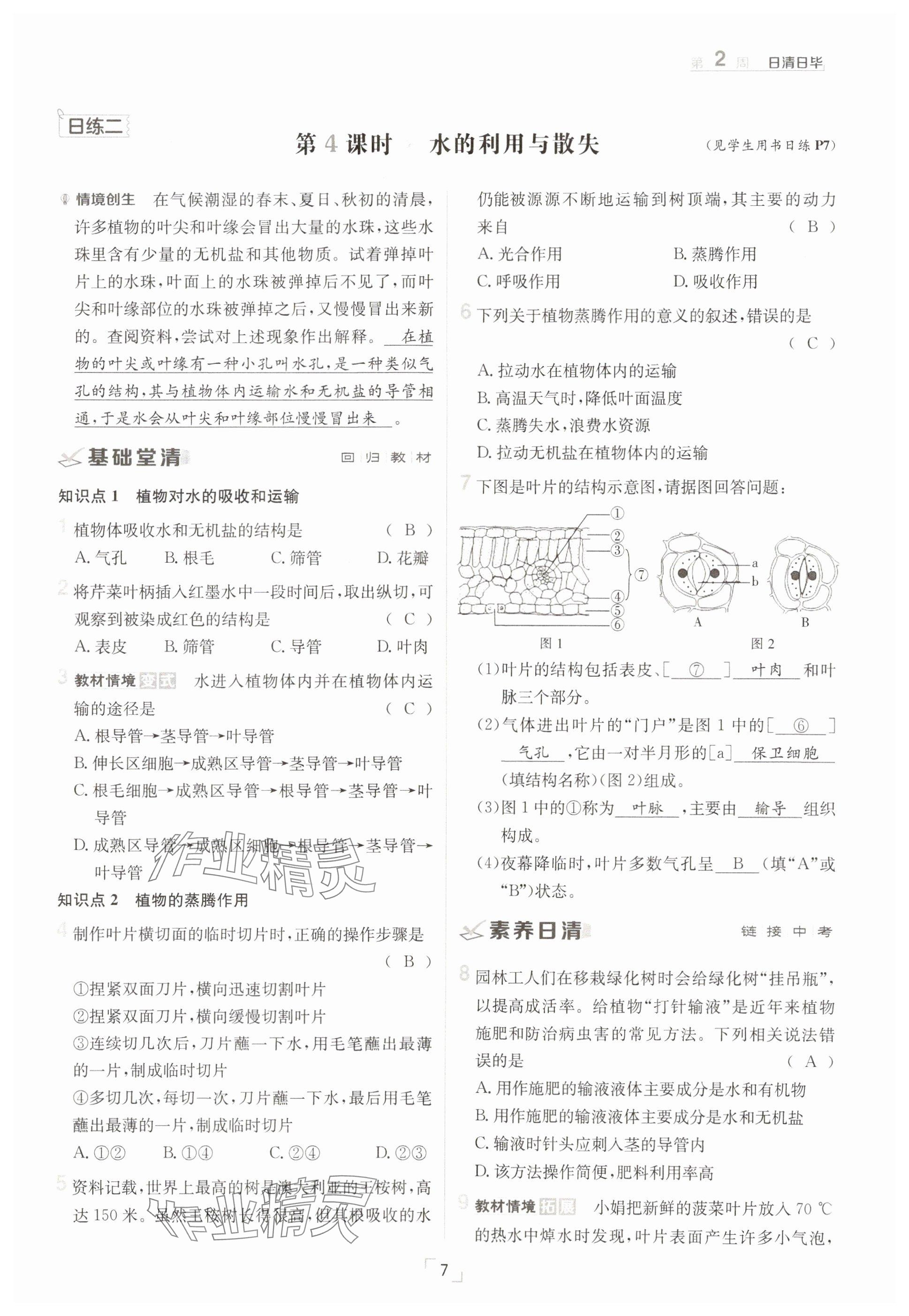2025年日清周練七年級生物下冊人教版 參考答案第7頁