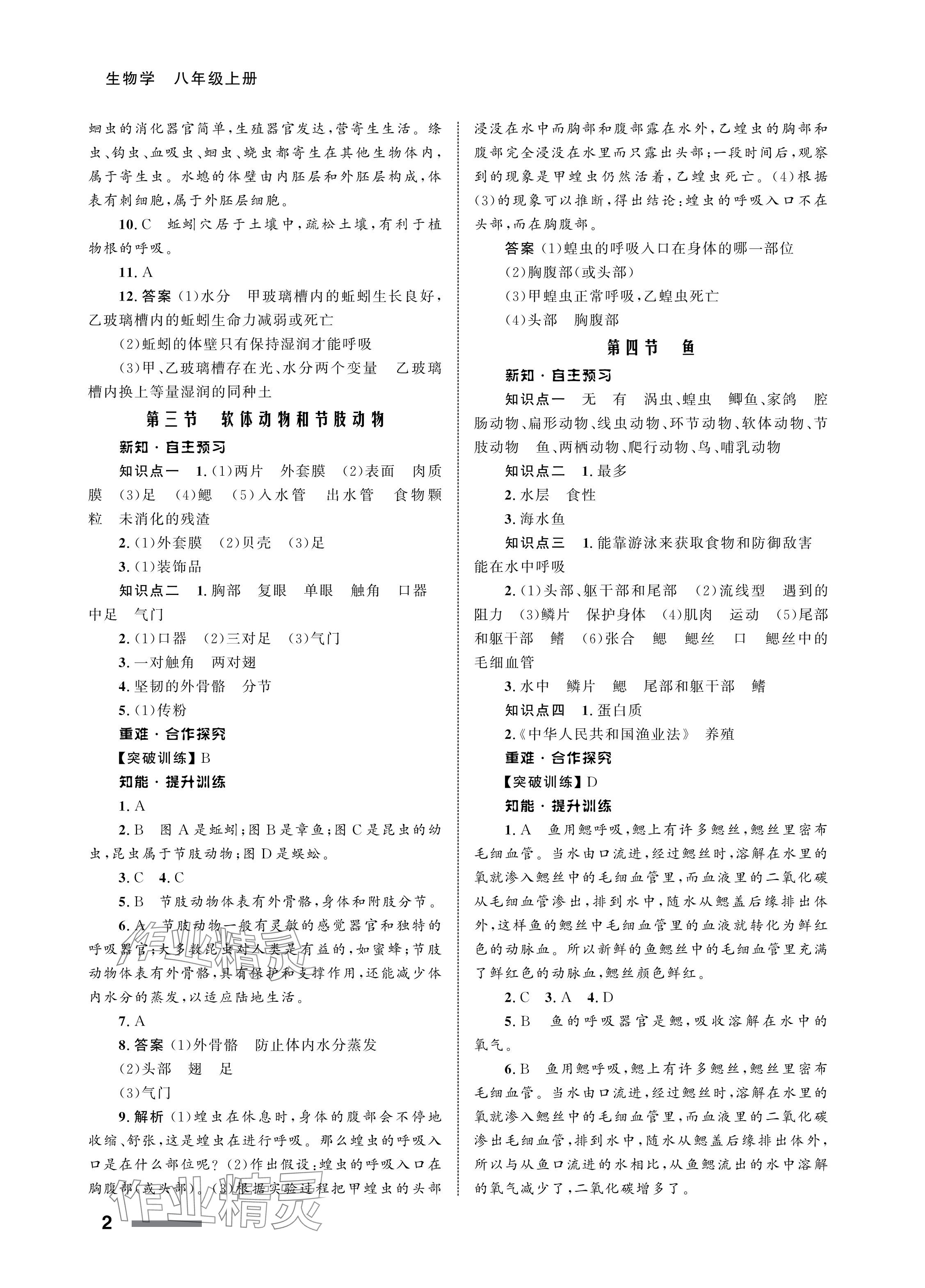 2024年配套綜合練習(xí)甘肅八年級(jí)生物上冊(cè)人教版 參考答案第2頁