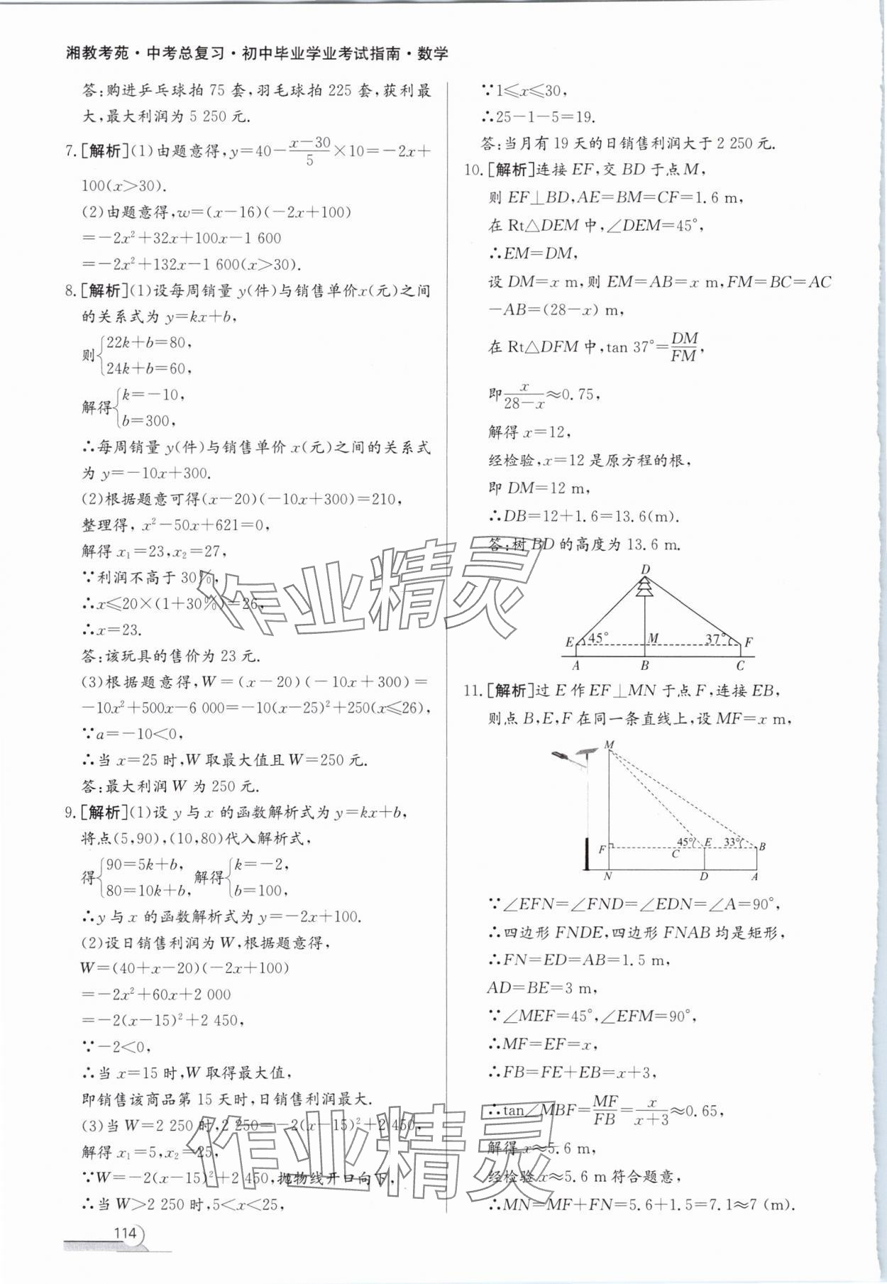 2024年湘教考苑中考總復習初中畢業(yè)學業(yè)考試指南數(shù)學 第10頁