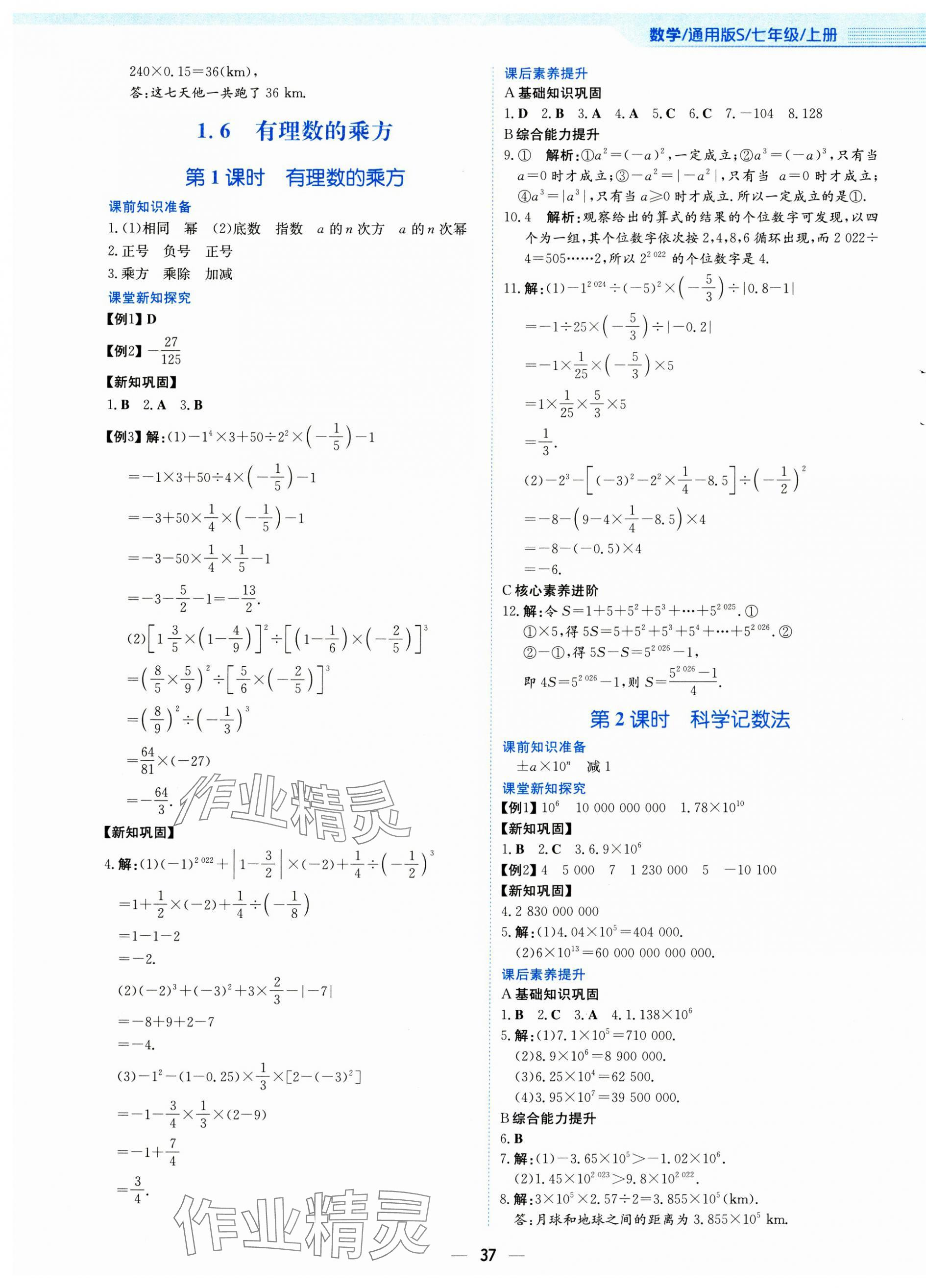 2024年新编基础训练七年级数学上册通用版S 第9页