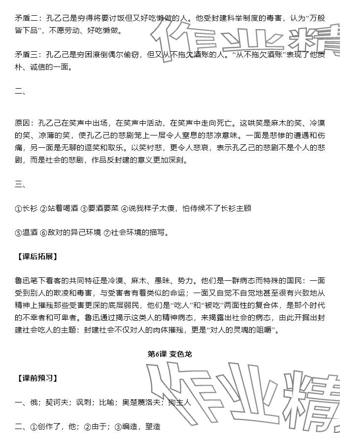 2025年知識與能力訓練九年級語文下冊人教版 參考答案第4頁