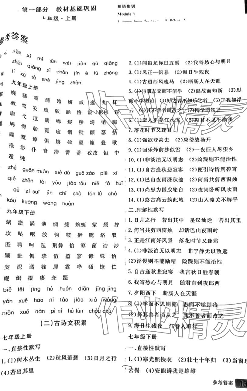 2024年自主学习中考总复习语文 第2页