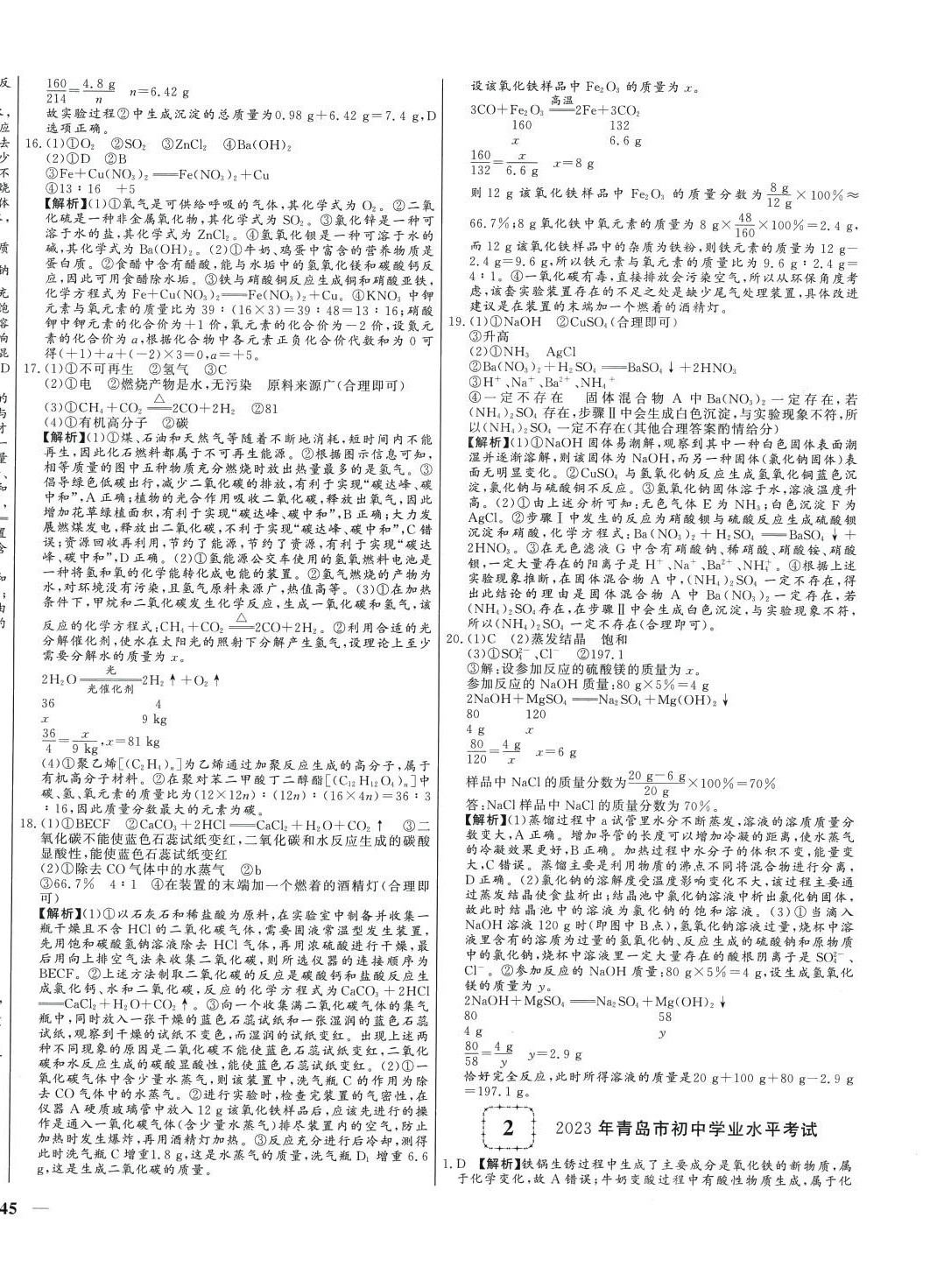 2024年學(xué)考A+卷山東省中考真題匯編化學(xué)中考山東專版 第2頁