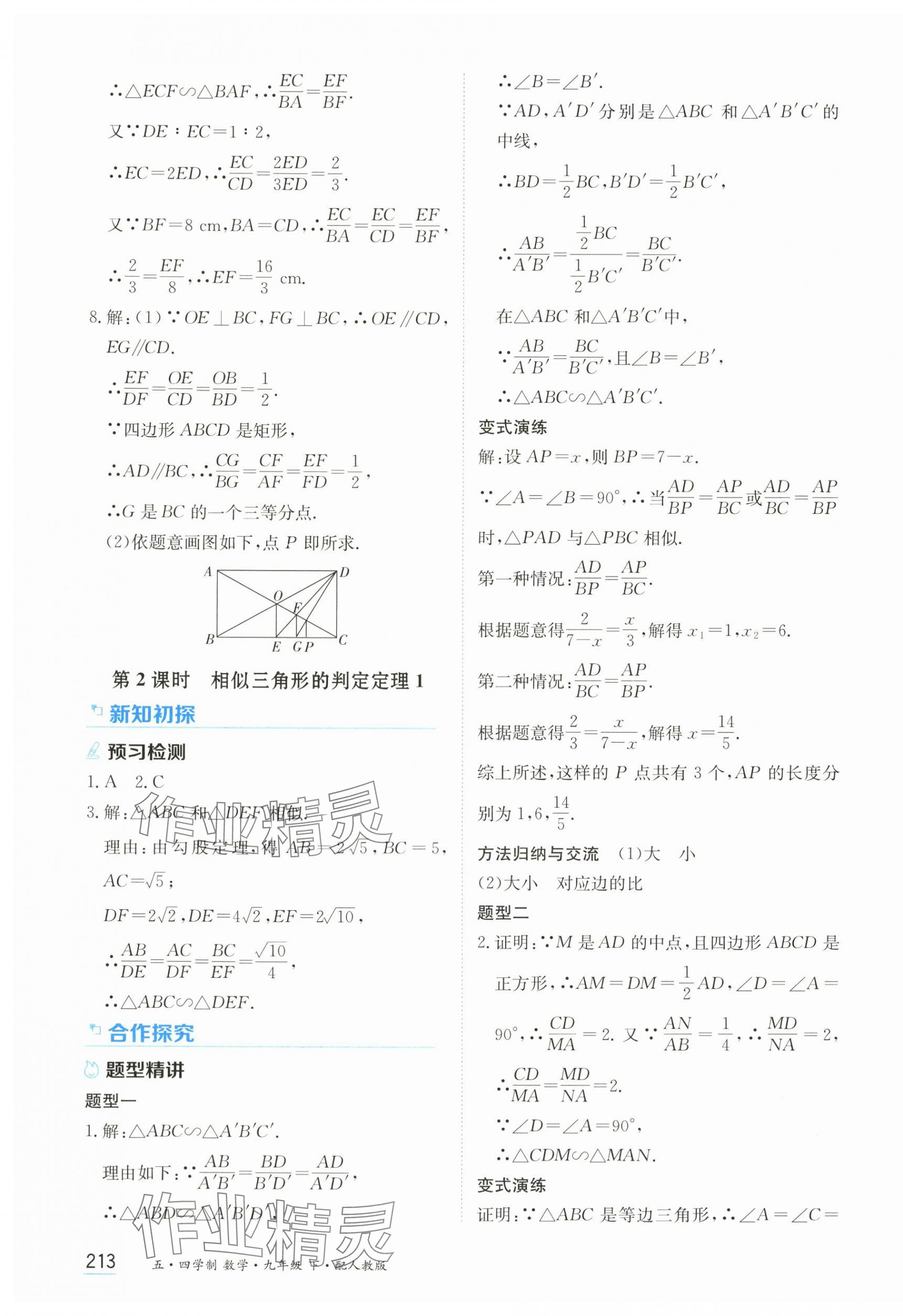 2025年資源與評價黑龍江教育出版社九年級數(shù)學下冊人教版 第3頁