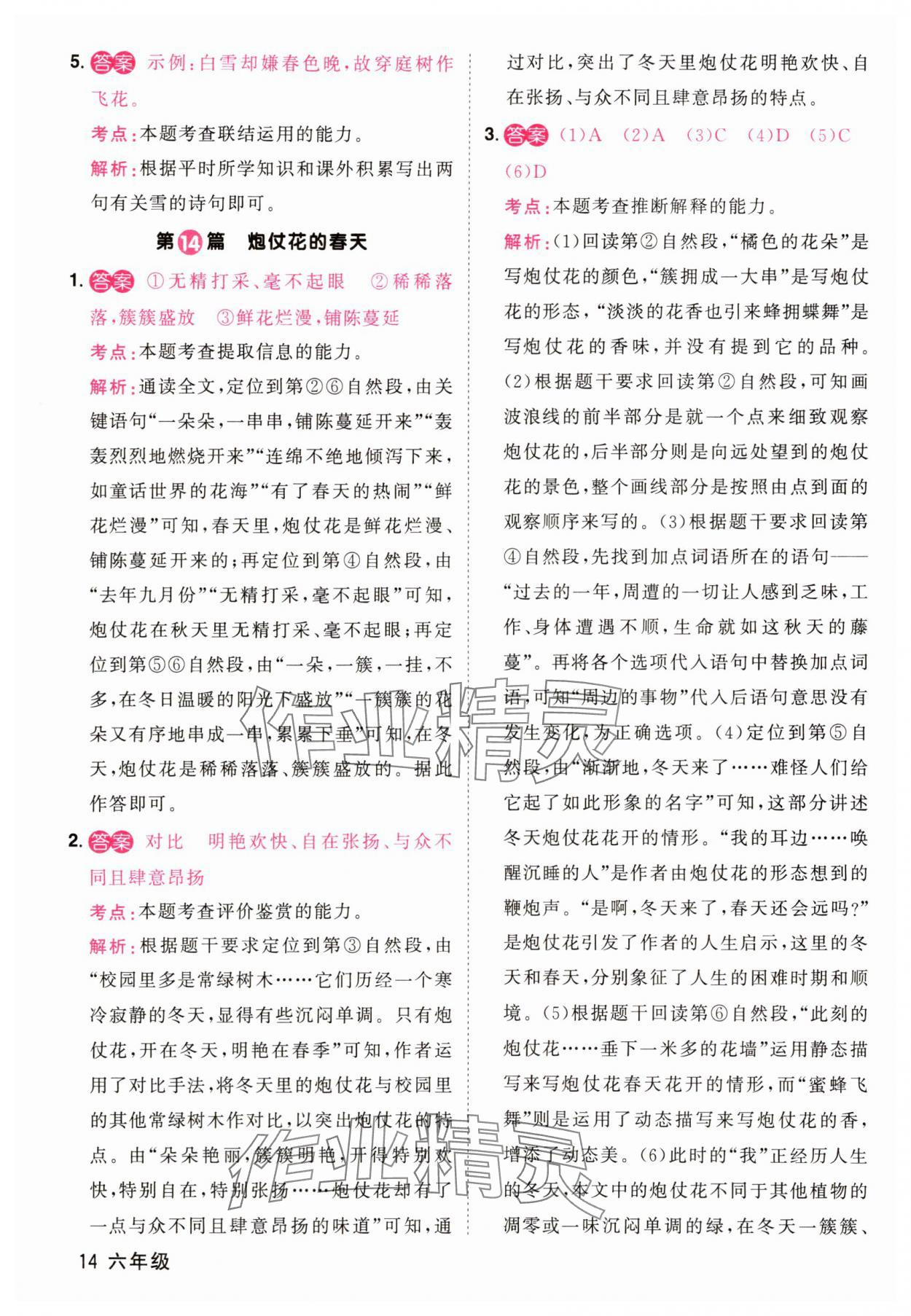 2025年百校名師閱讀真題80篇六年級語文彩虹版&nbsp;第14頁