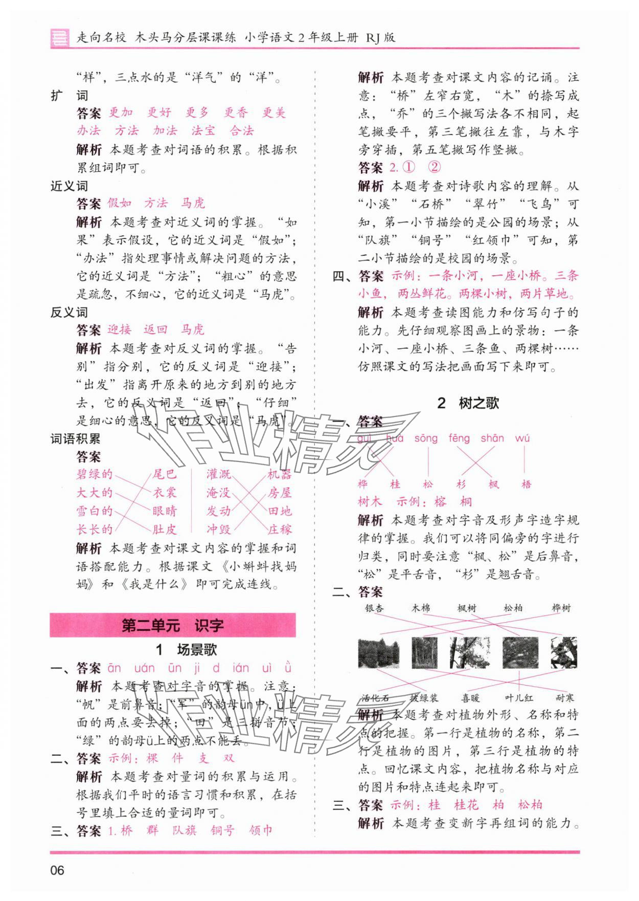 2023年木頭馬分層課課練二年級語文上冊人教版浙江專版 第6頁