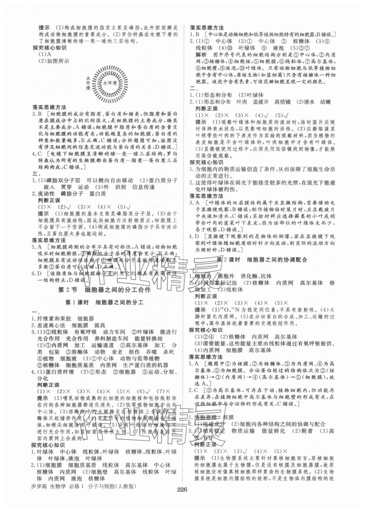 2025年步步高学习笔记高中生物必修1人教版 参考答案第5页