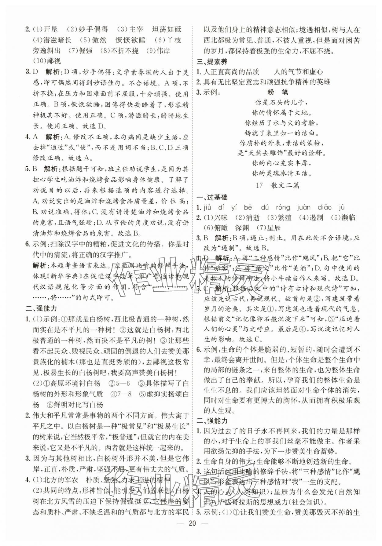 2025年考点专练八年级语文上册人教版深圳专版&nbsp;第20页