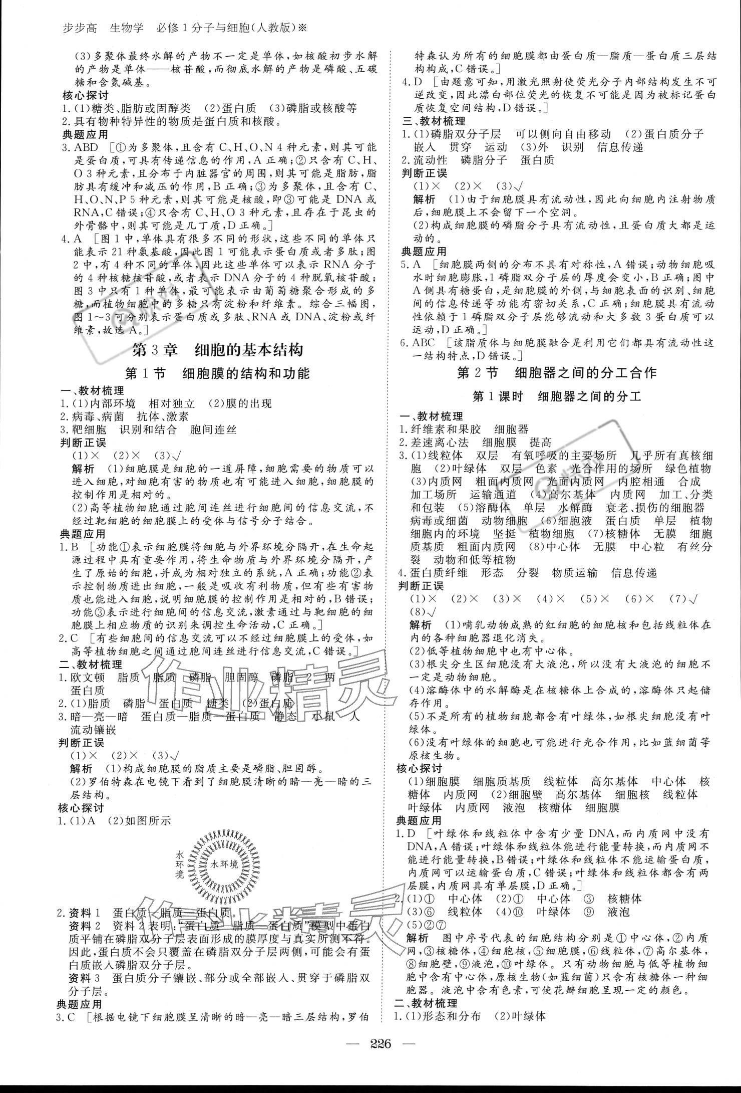 2023年步步高學(xué)習(xí)筆記生物必修1人教版 參考答案第5頁