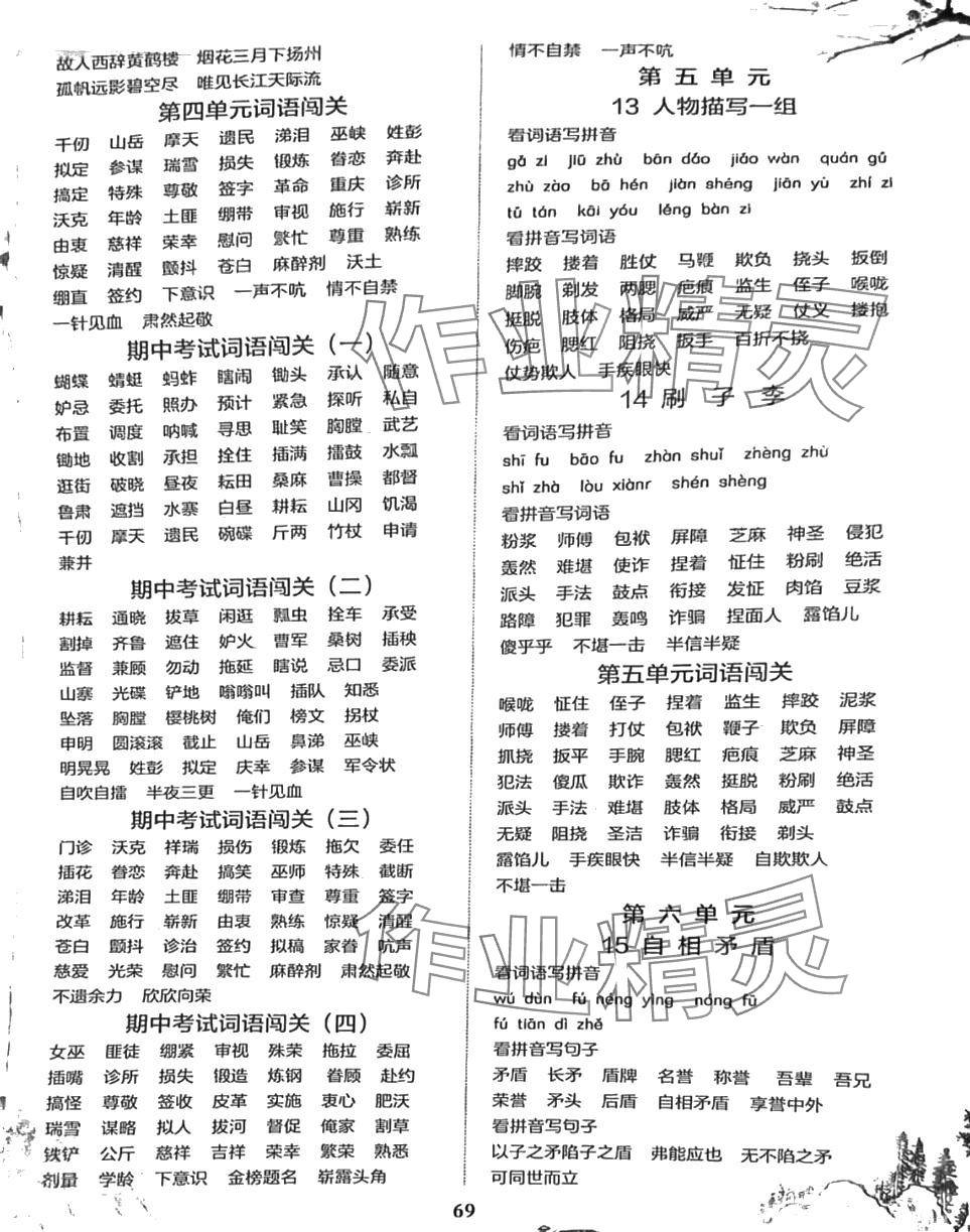 2024年專項組合訓(xùn)練五年級語文下冊人教版 第3頁