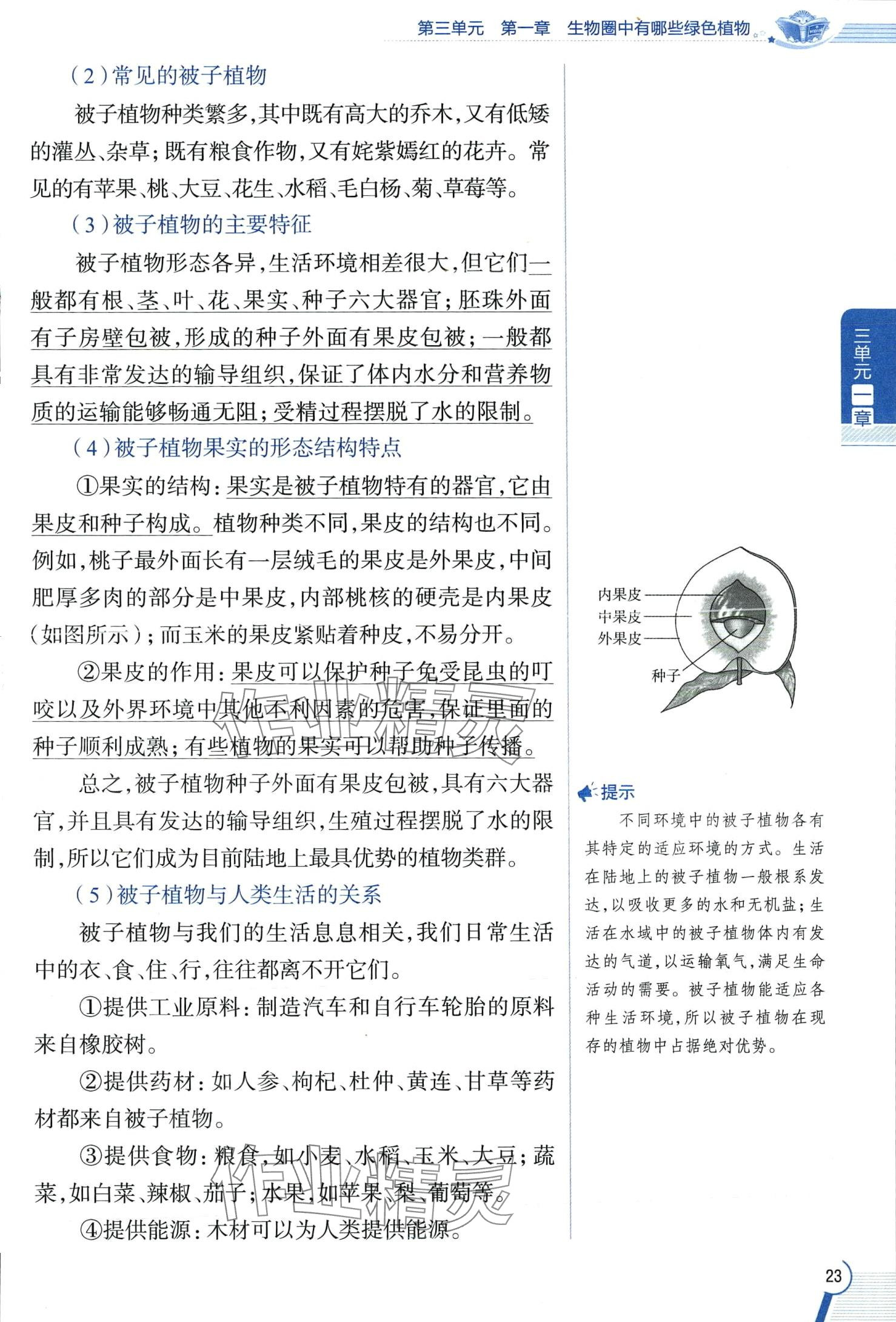 2024年教材課本六年級生物下冊魯科版 第23頁