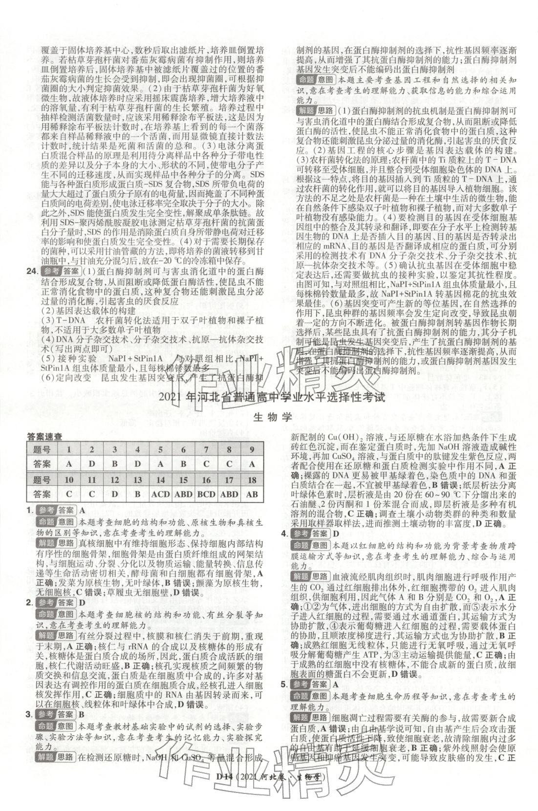 2026年新高考5年真题生物河北专版 第14页