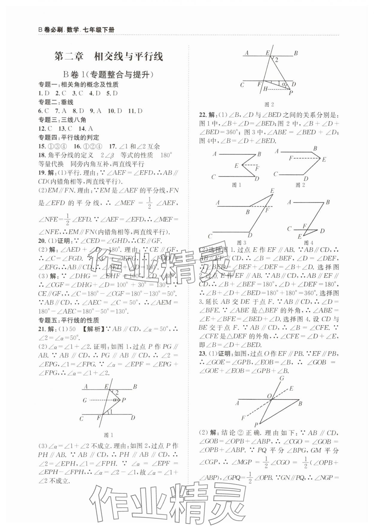 2025年B卷必刷七年级数学下册 第4页