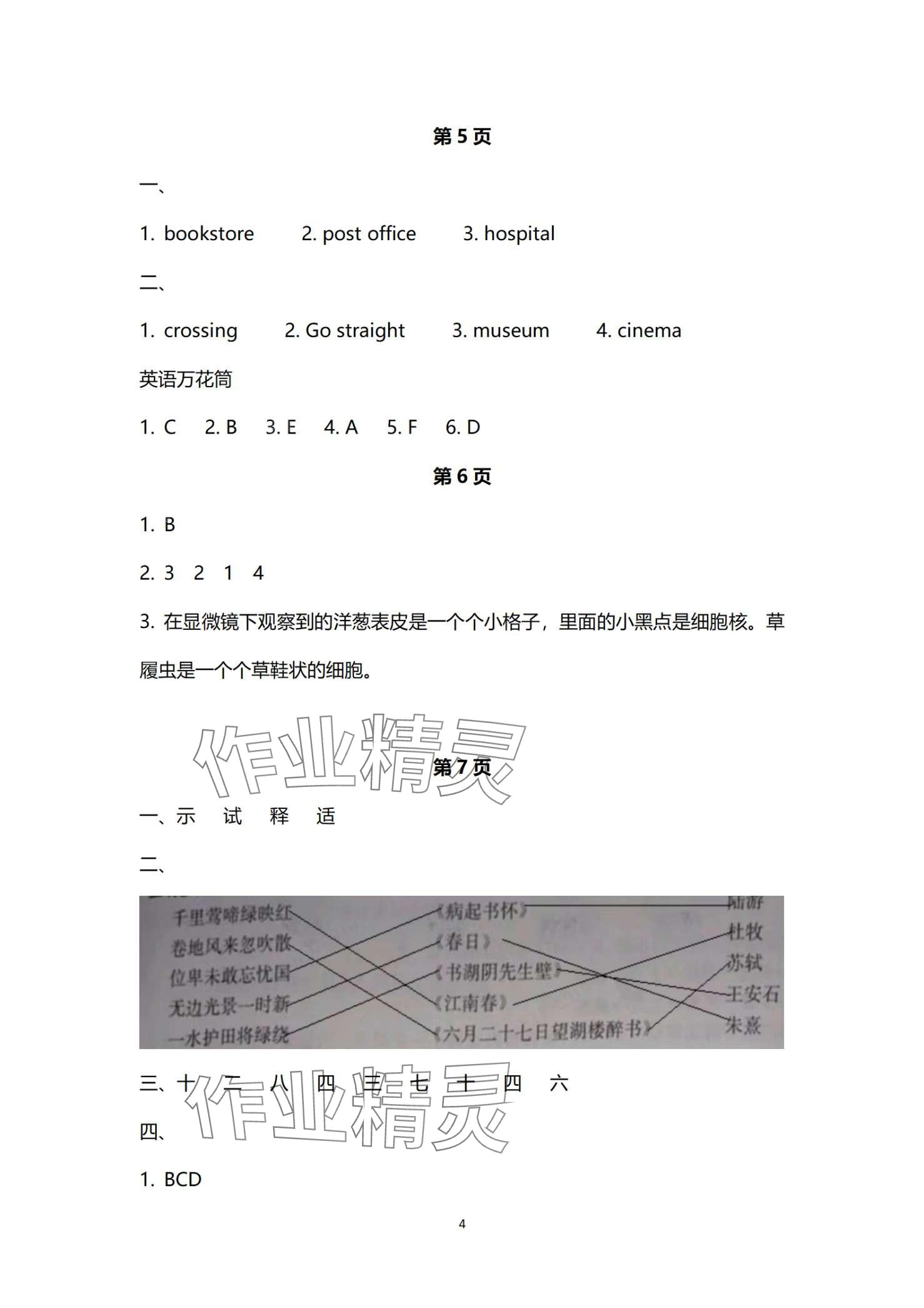 2024年新起點(diǎn)寒假作業(yè)六年級(jí) 第4頁