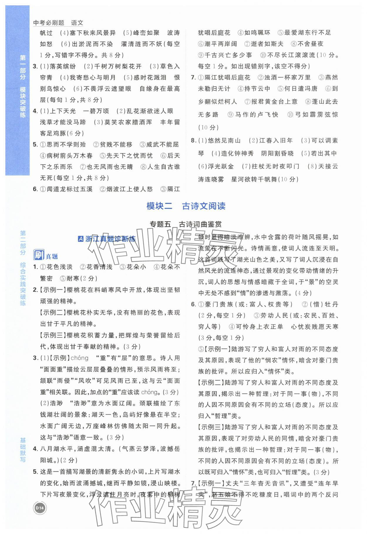 2025年中考必刷題語文浙江專版 第14頁