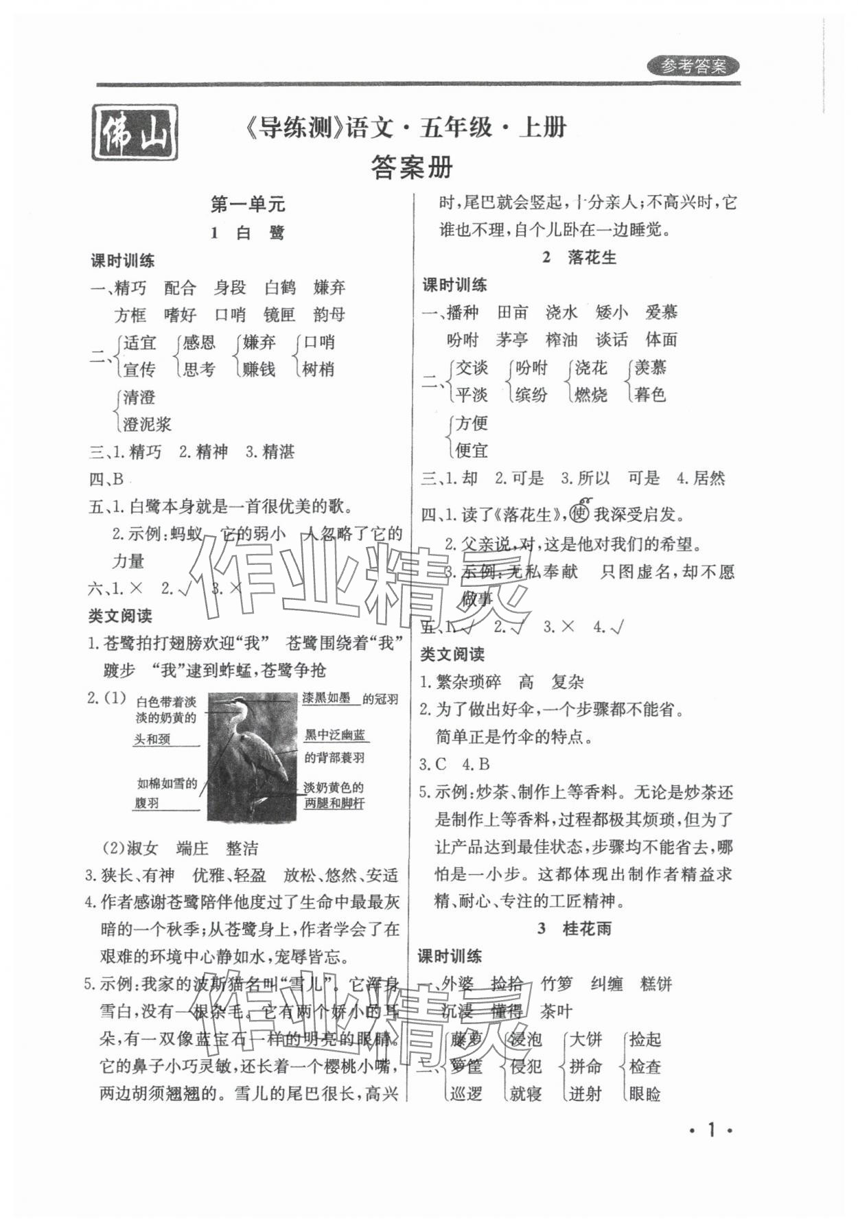 2024年狀元坊全程突破導練測五年級語文上冊人教版佛山專版 參考答案第1頁