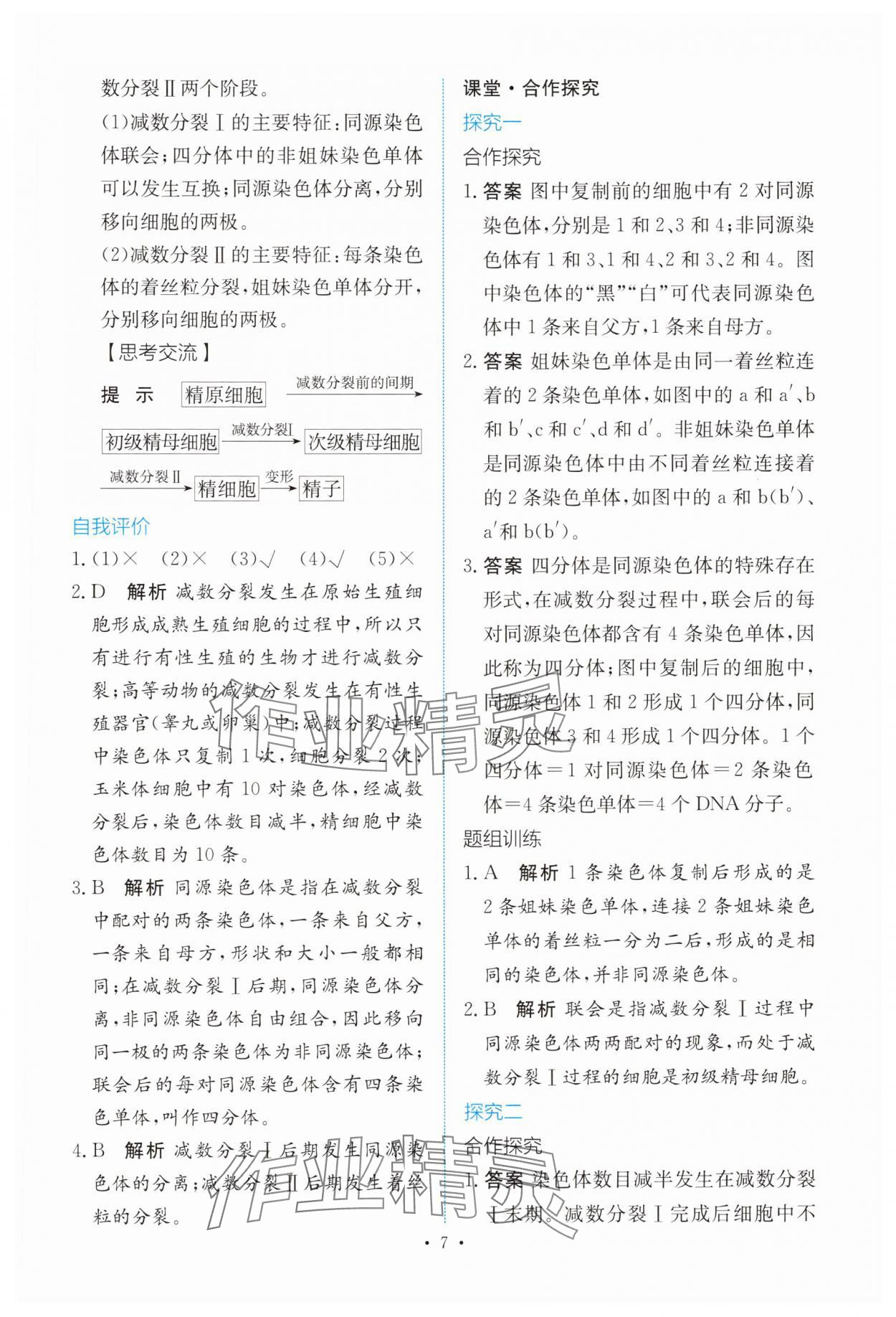 2025年能力培养与测试高中生物必修2人教版 参考答案第6页