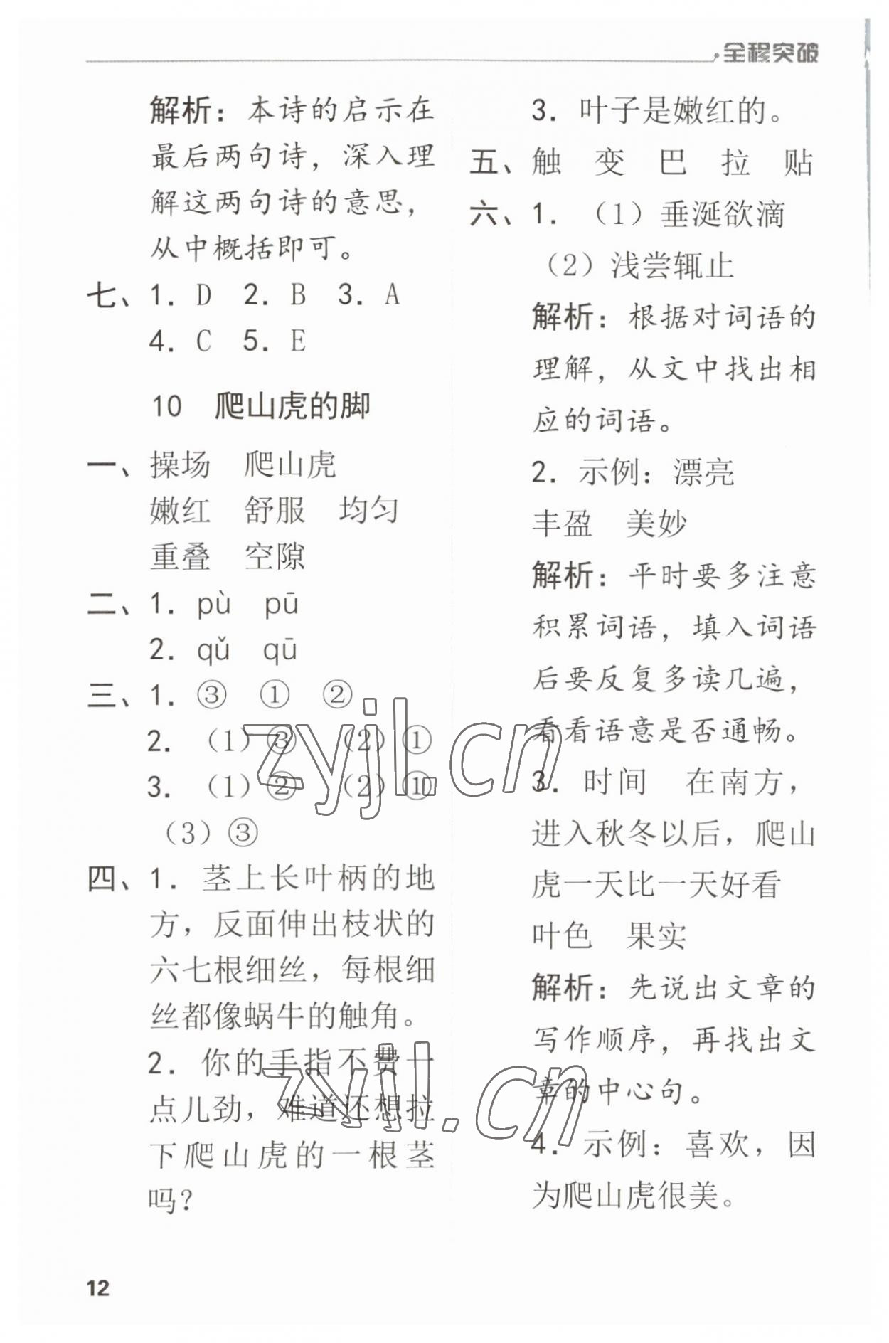 2023年全程突破四年級語文上冊人教版 第12頁