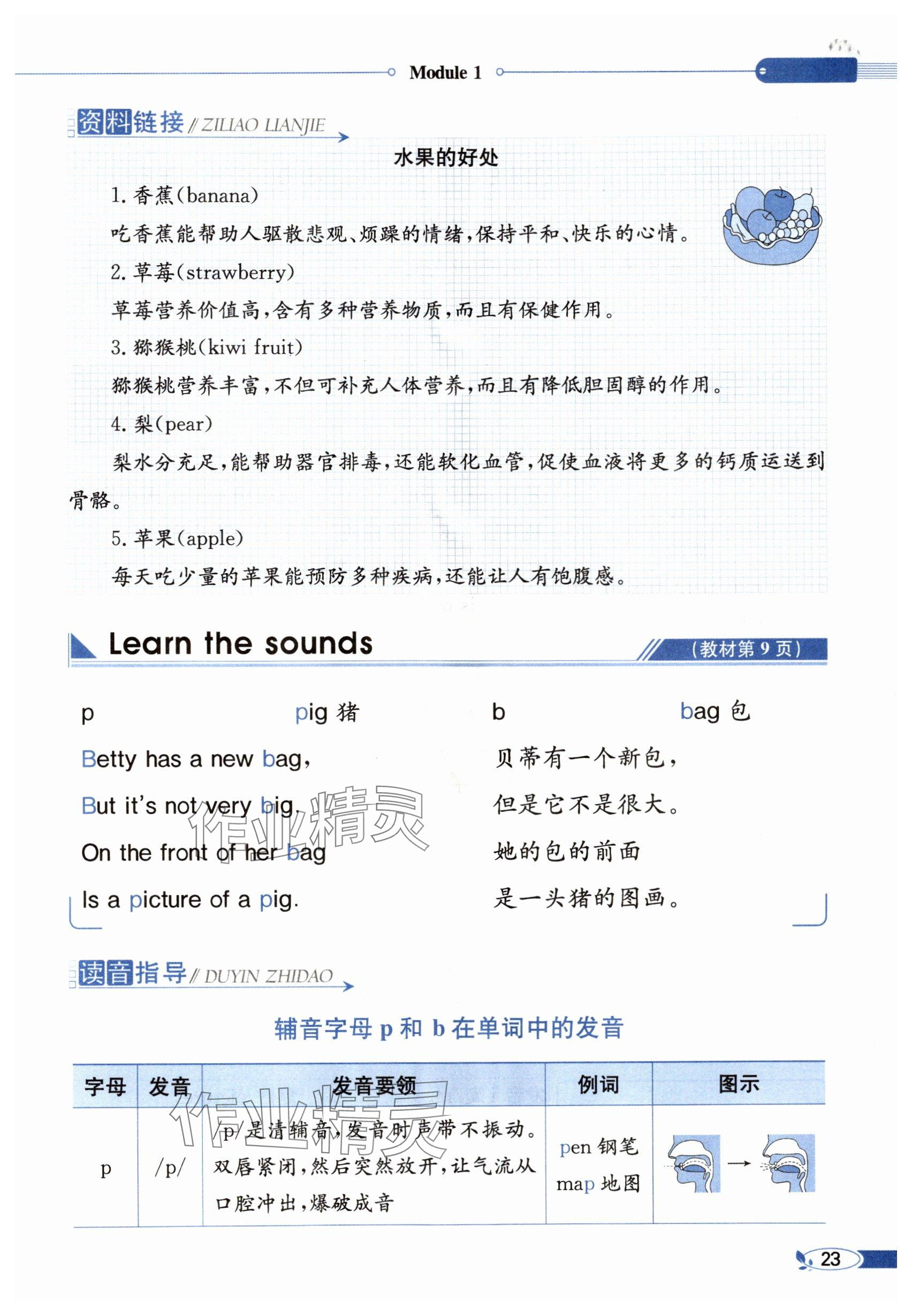 2024年教材課本三年級(jí)英語下冊(cè)滬教版&nbsp;參考答案第21頁