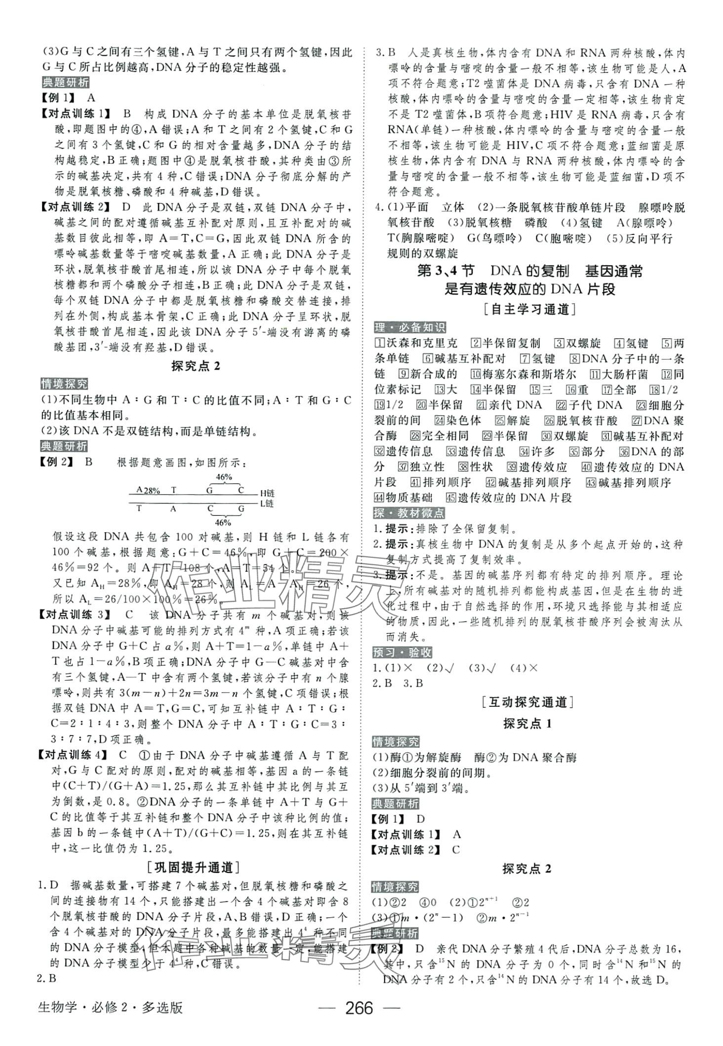 2024年綠色通道高中生物必修2人教版 第14頁(yè)