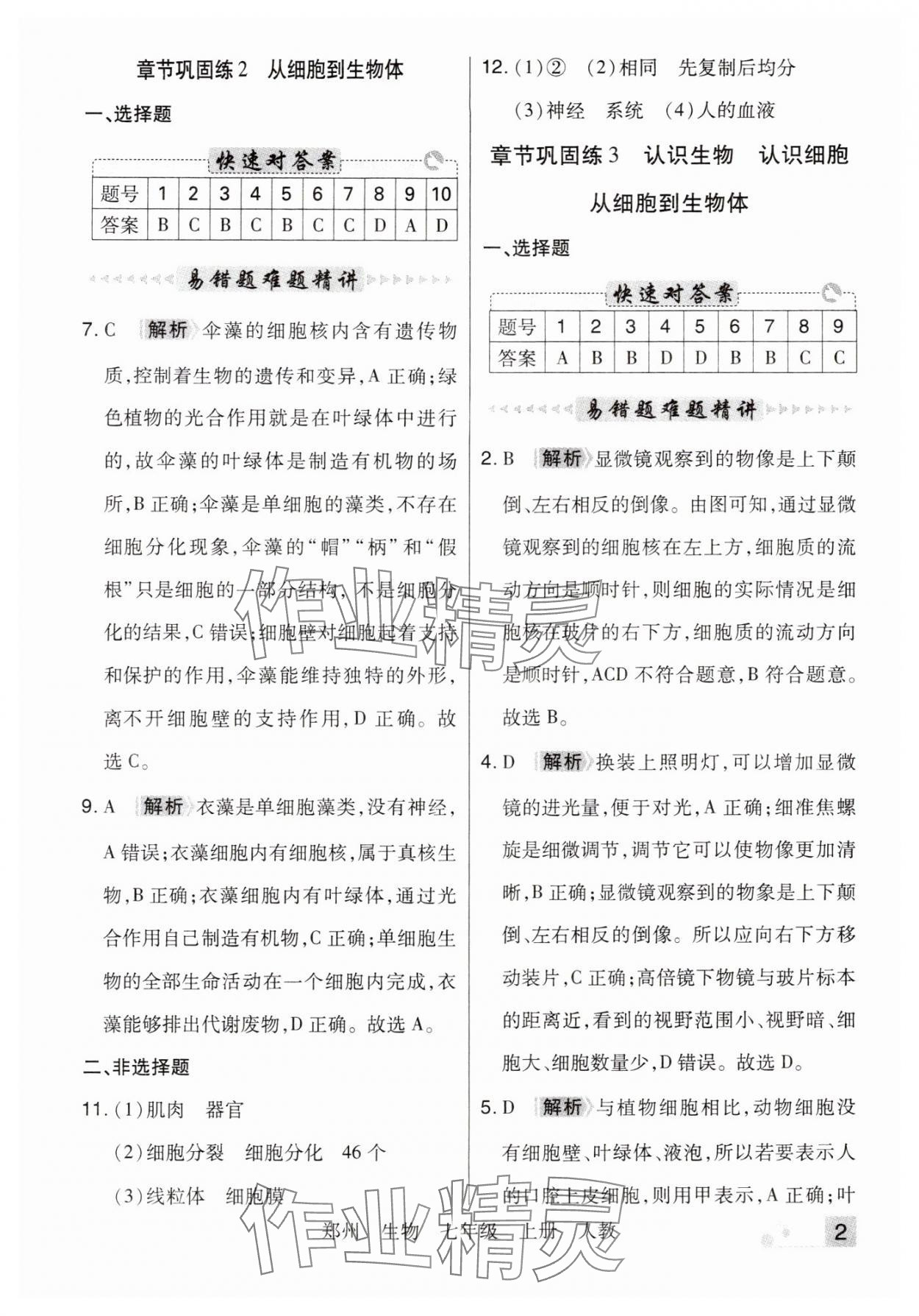 2024年期末考試必刷卷七年級生物上冊人教版鄭州專版 參考答案第2頁