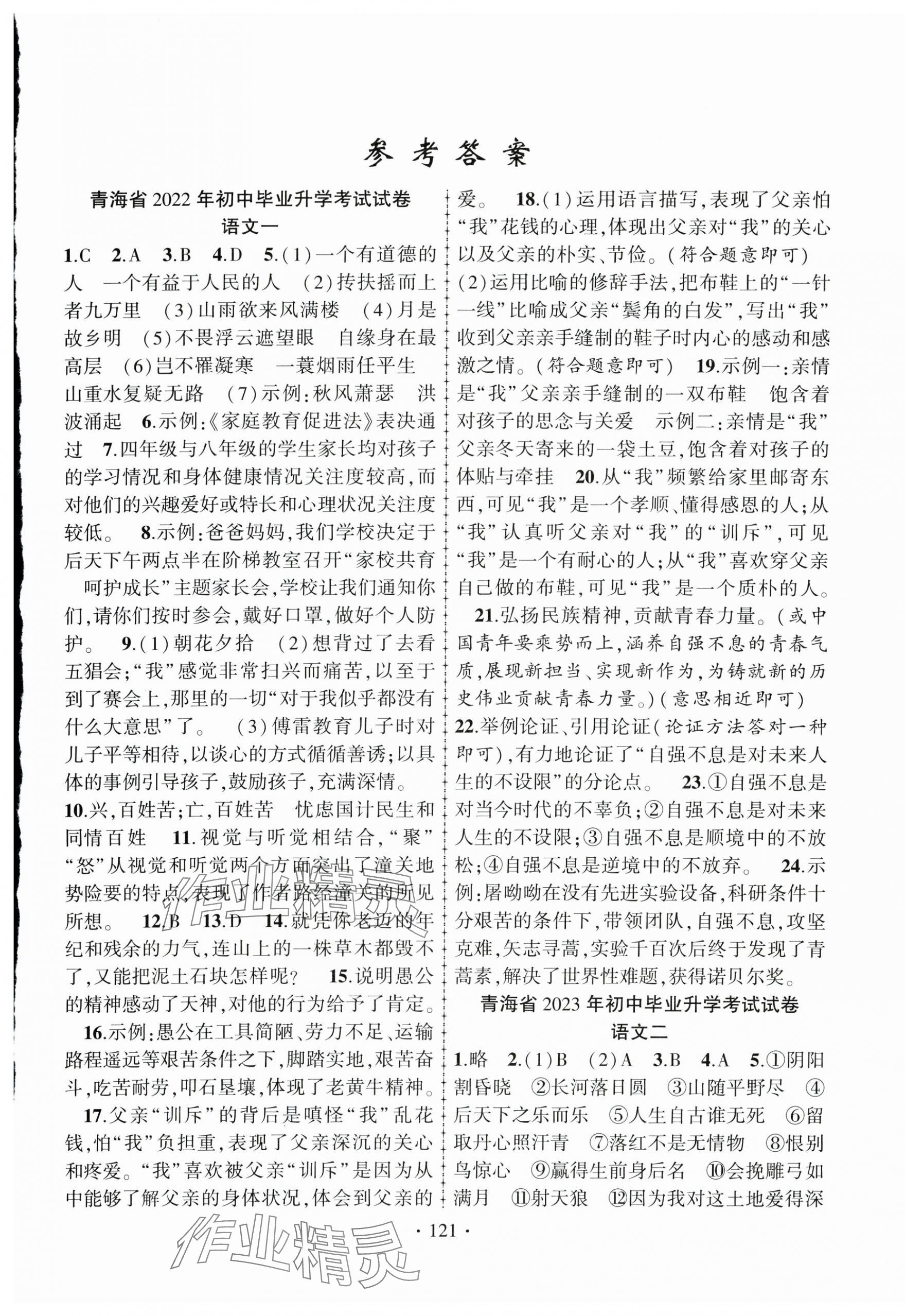 2025年青海中考金榜名卷模擬試卷語文 第1頁