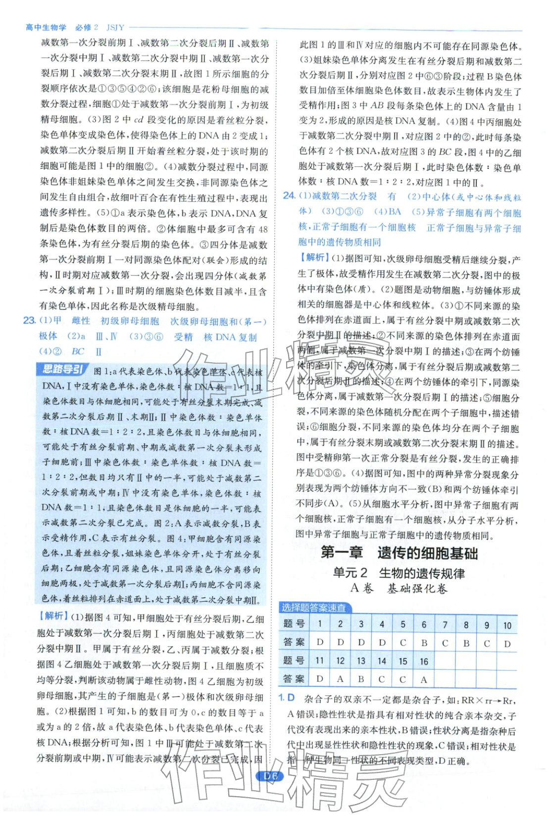 2026年實(shí)驗(yàn)班全優(yōu)檢測(cè)卷高中生物必修第二冊(cè)蘇教版&nbsp;第6頁(yè)