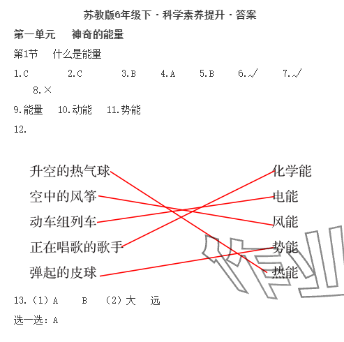 2024年科學(xué)素養(yǎng)提升六年級下冊蘇教版 參考答案第1頁