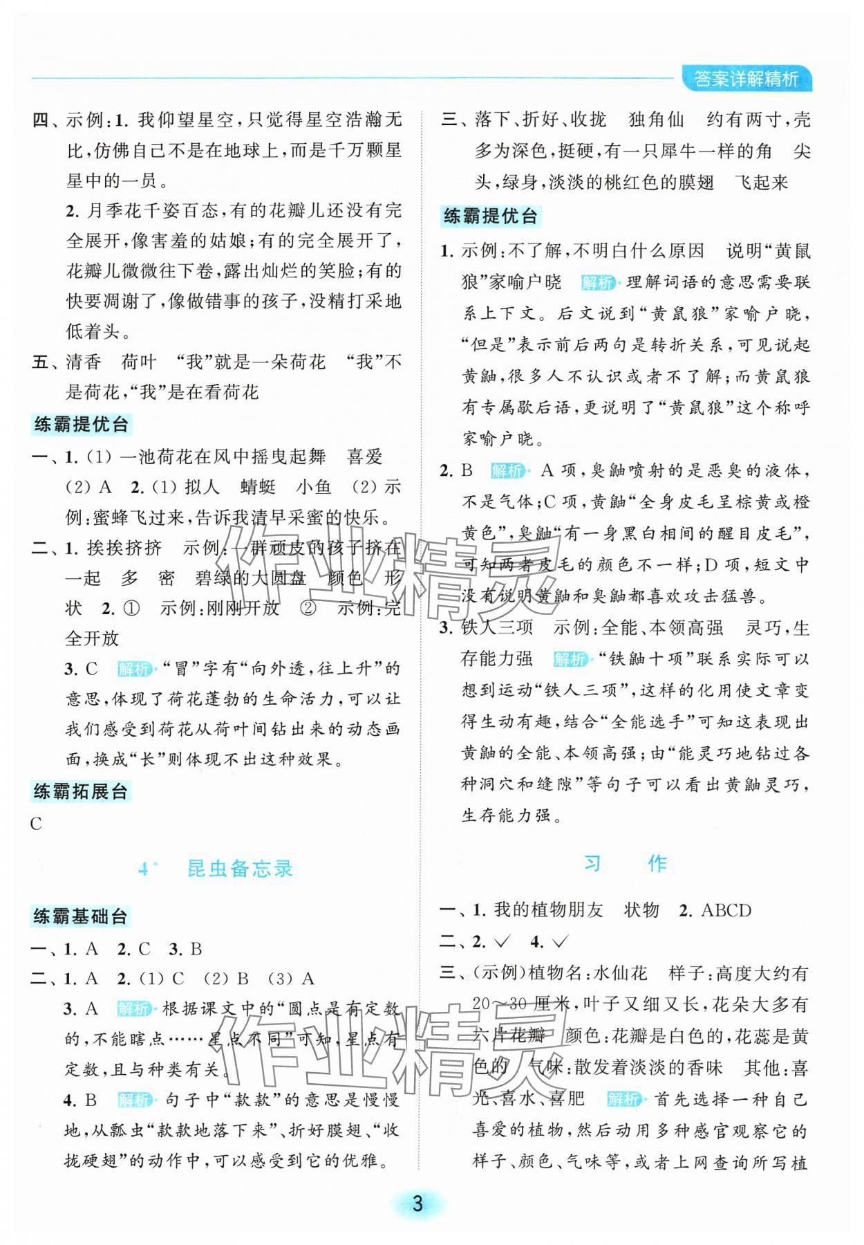 2024年亮點給力全優(yōu)練霸三年級語文下冊人教版 參考答案第3頁