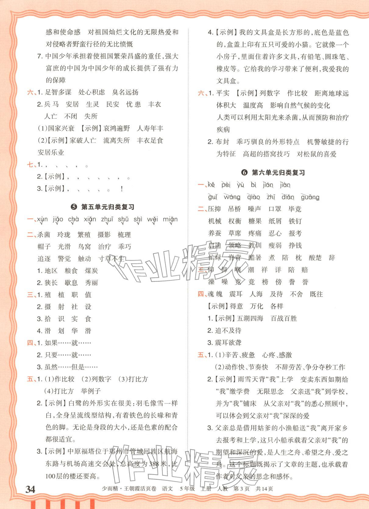2025年王朝霞活页卷五年级语文上册人教版 第3页