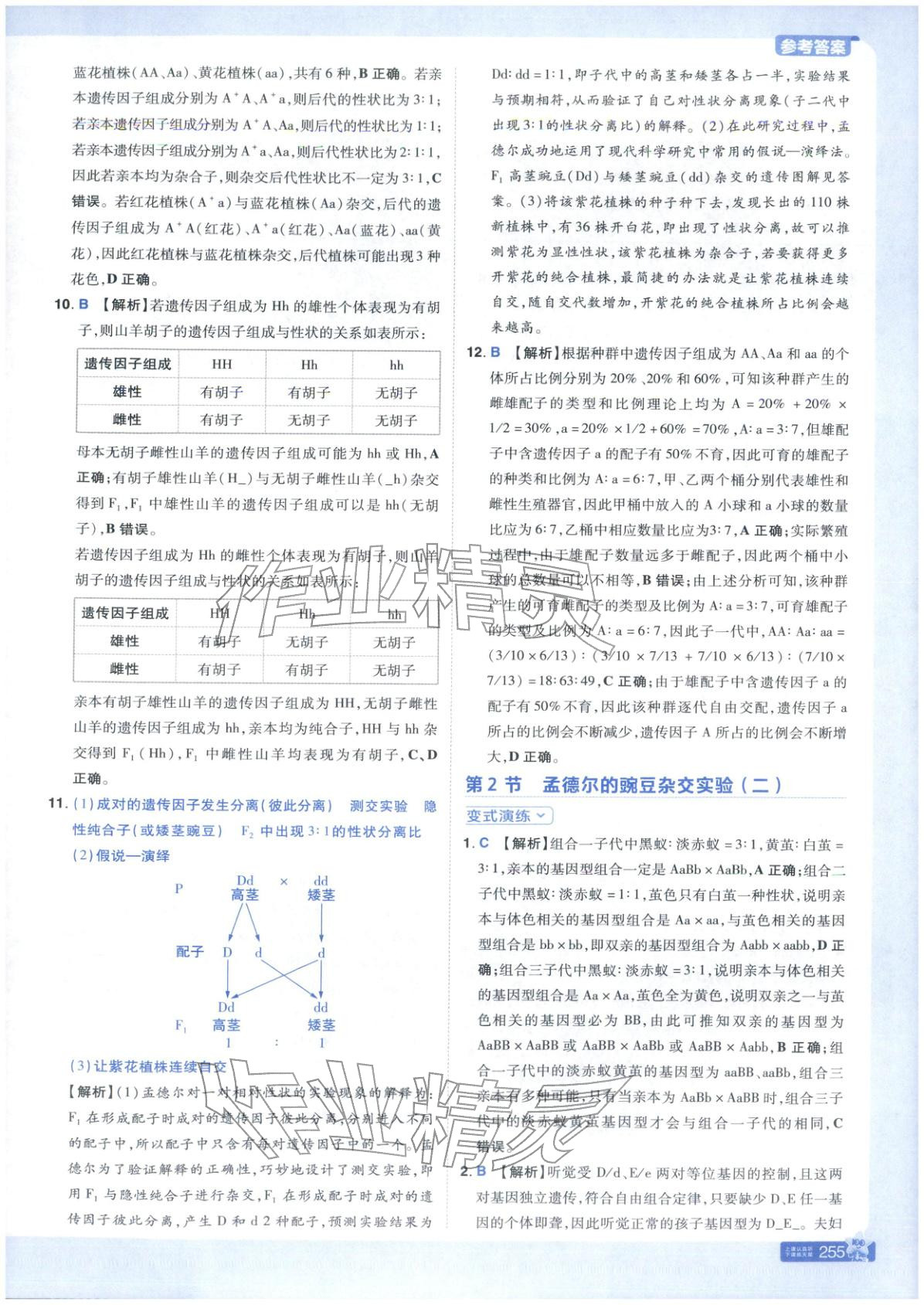 2025年教材帮高中生物必修第二册人教版&nbsp;第3页