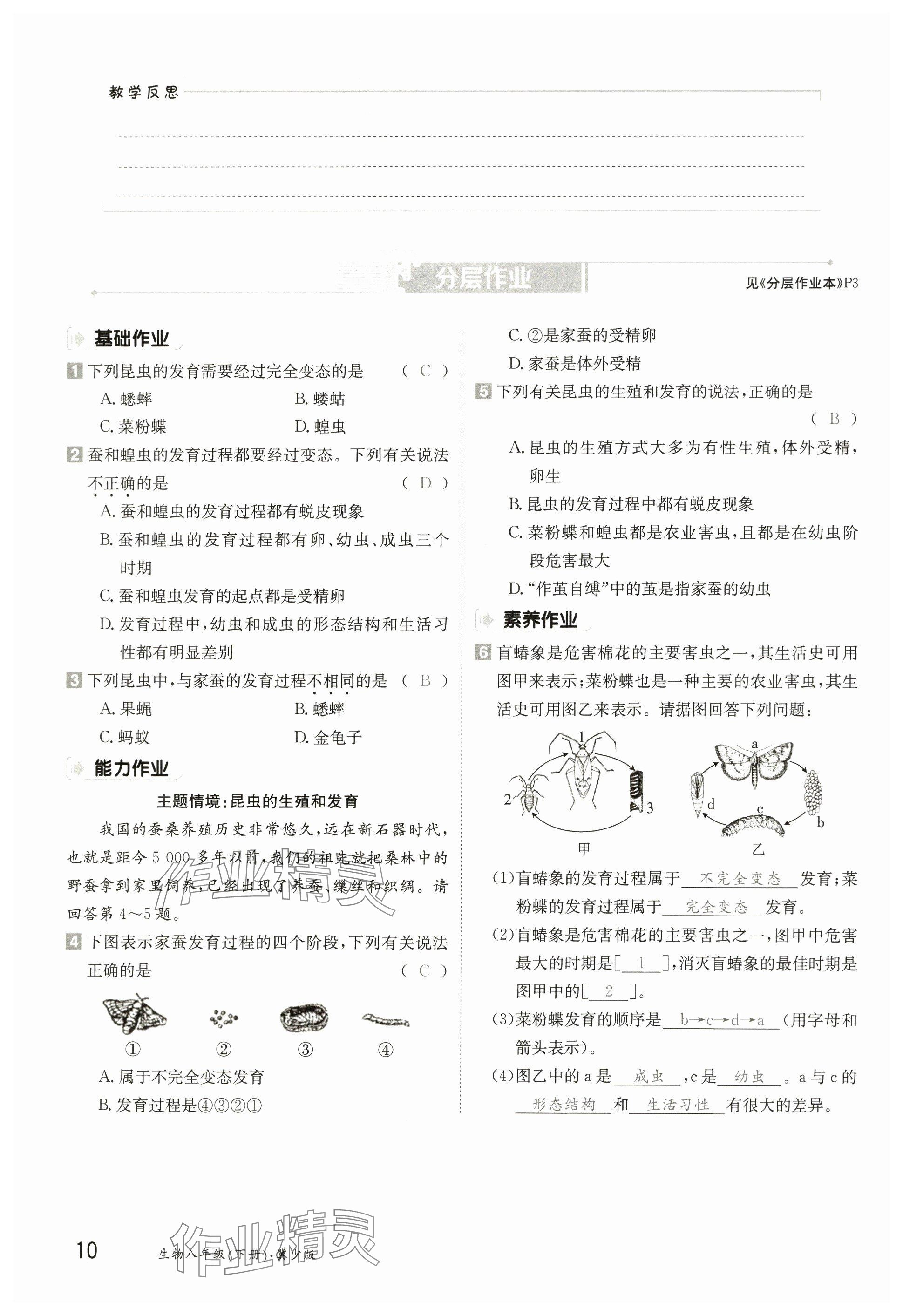 2025年金太陽(yáng)導(dǎo)學(xué)案八年級(jí)生物下冊(cè)冀少版 參考答案第10頁(yè)