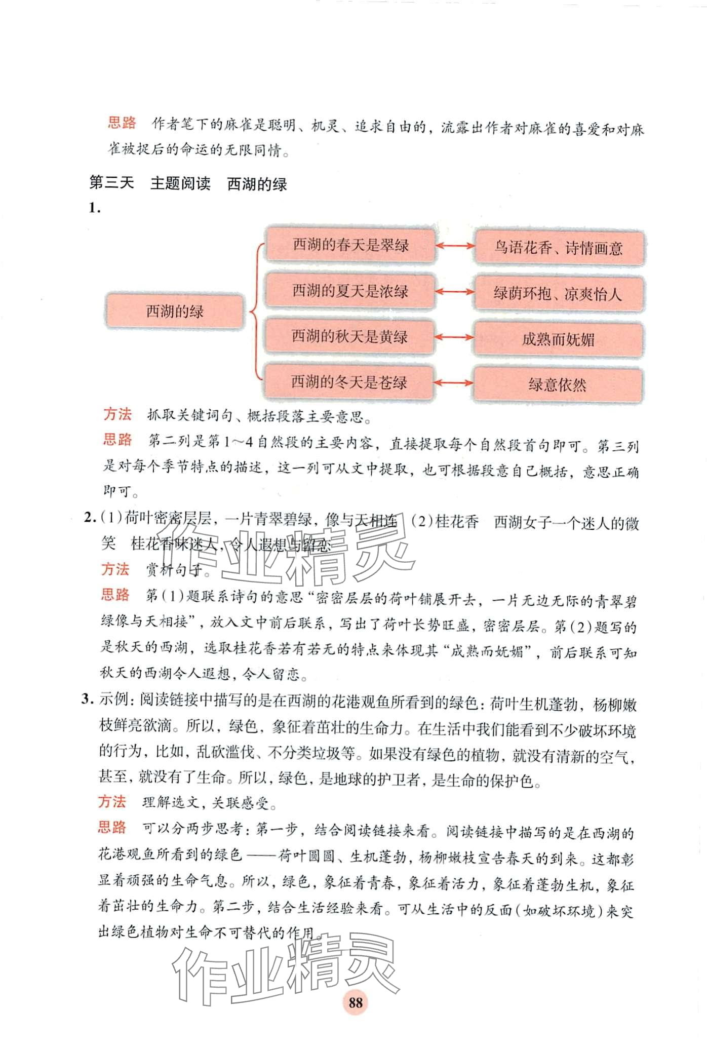 2024年知行合寒假閱讀與習作三年級語文 第6頁