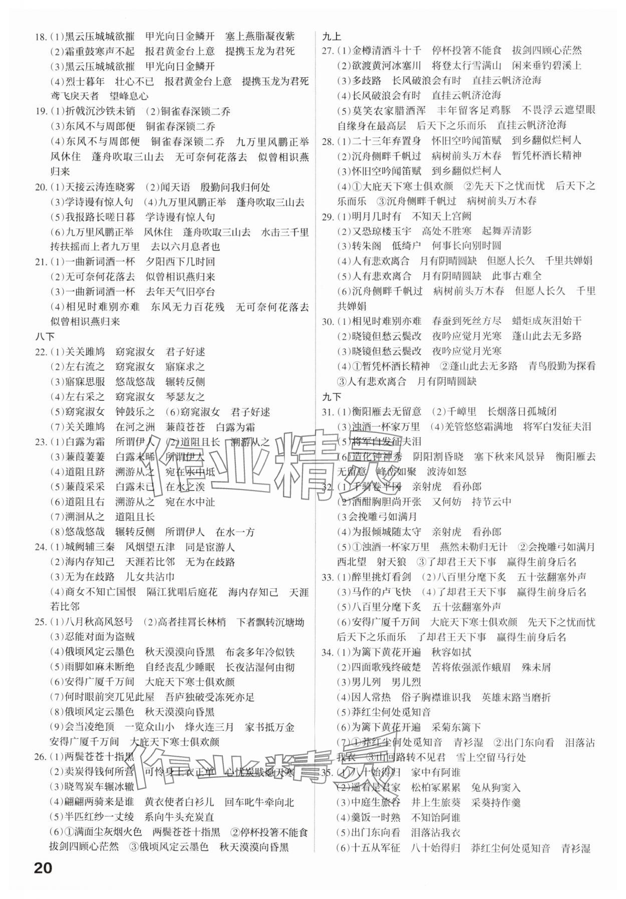 2025年滾動遷移中考總復(fù)習(xí)語文廣東專版 第20頁