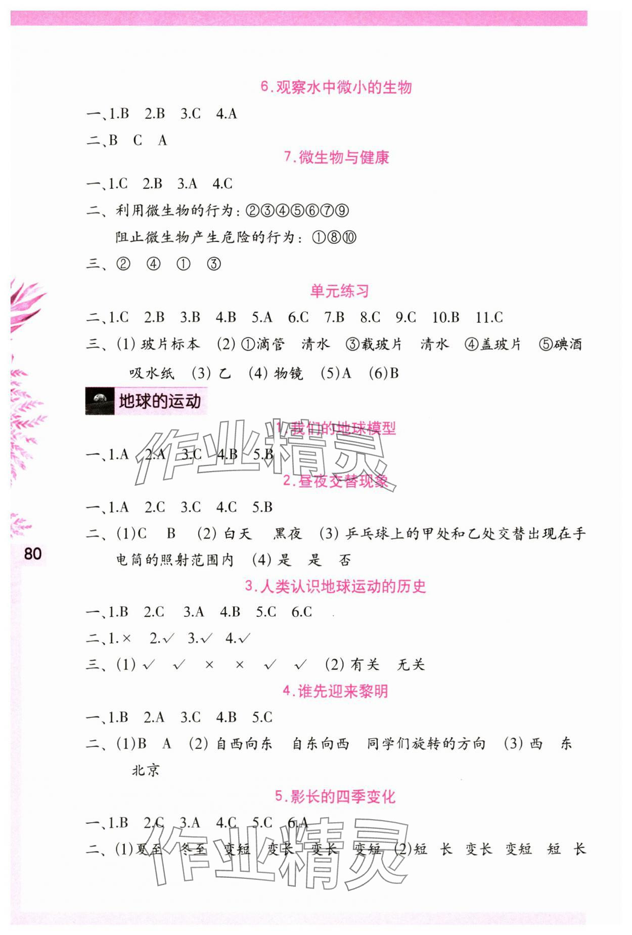 2024年學(xué)習(xí)與鞏固六年級科學(xué)上冊教科版 第2頁