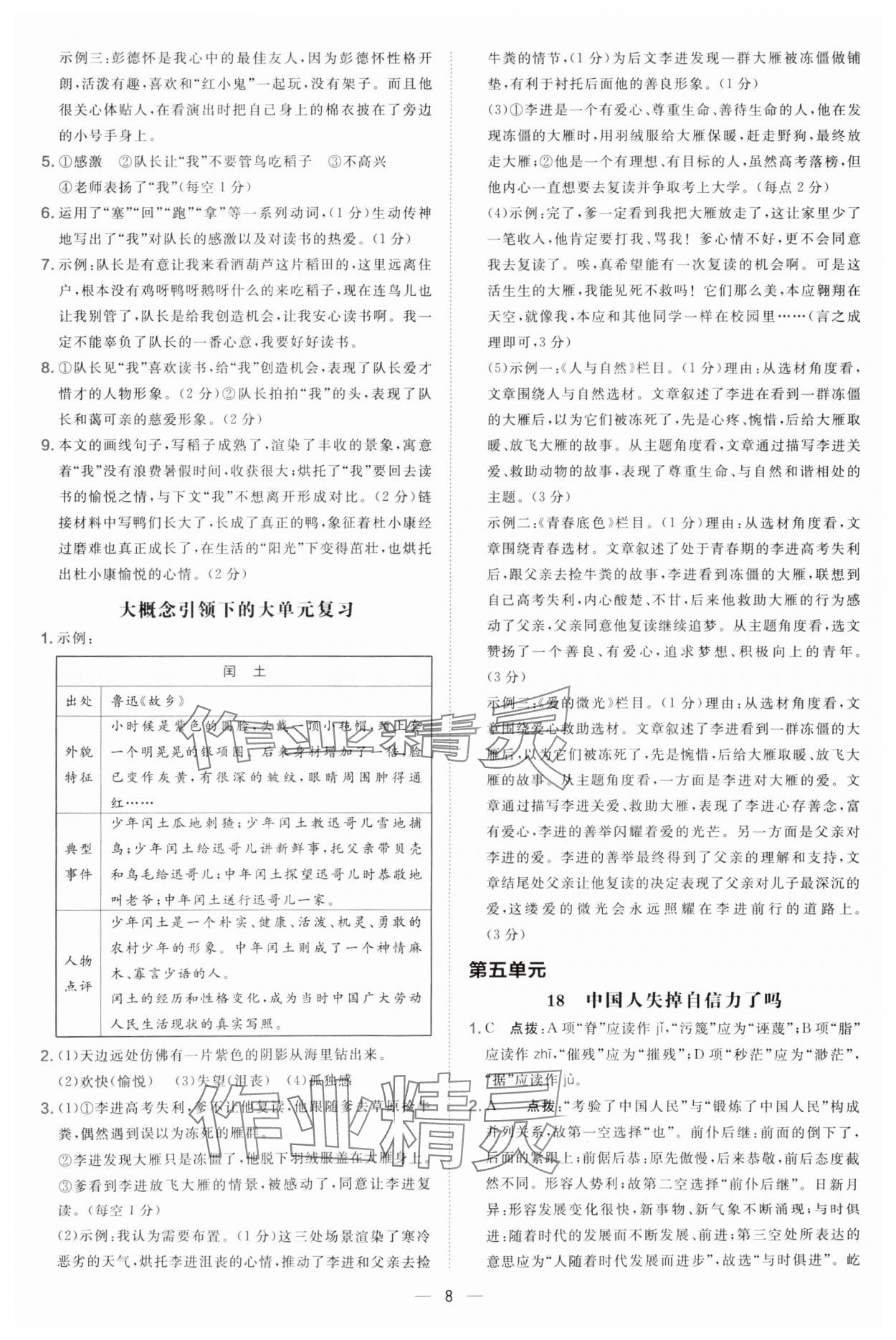 2025年点拨训练九年级语文上册人教版辽宁专版 参考答案第8页