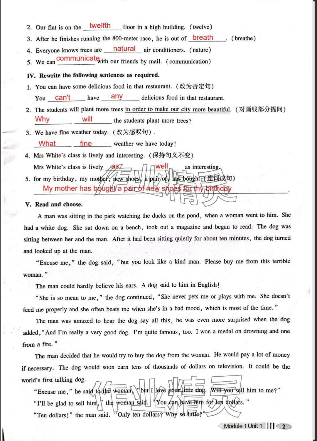 2025年中学生英语同步精练八年级下册沪教版54制 参考答案第2页