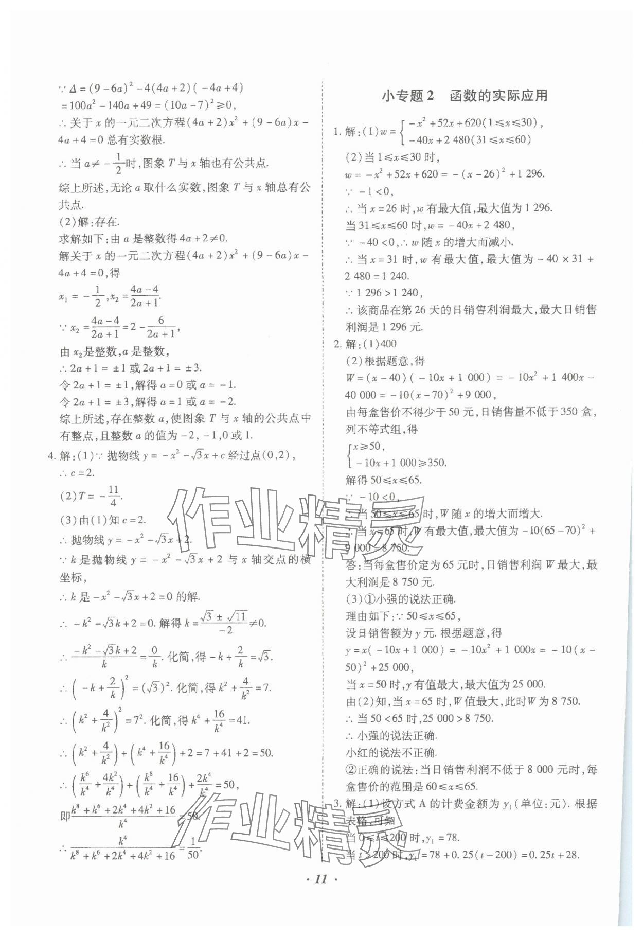 2024年本土攻略精準(zhǔn)復(fù)習(xí)方案數(shù)學(xué)中考云南專版 參考答案第11頁