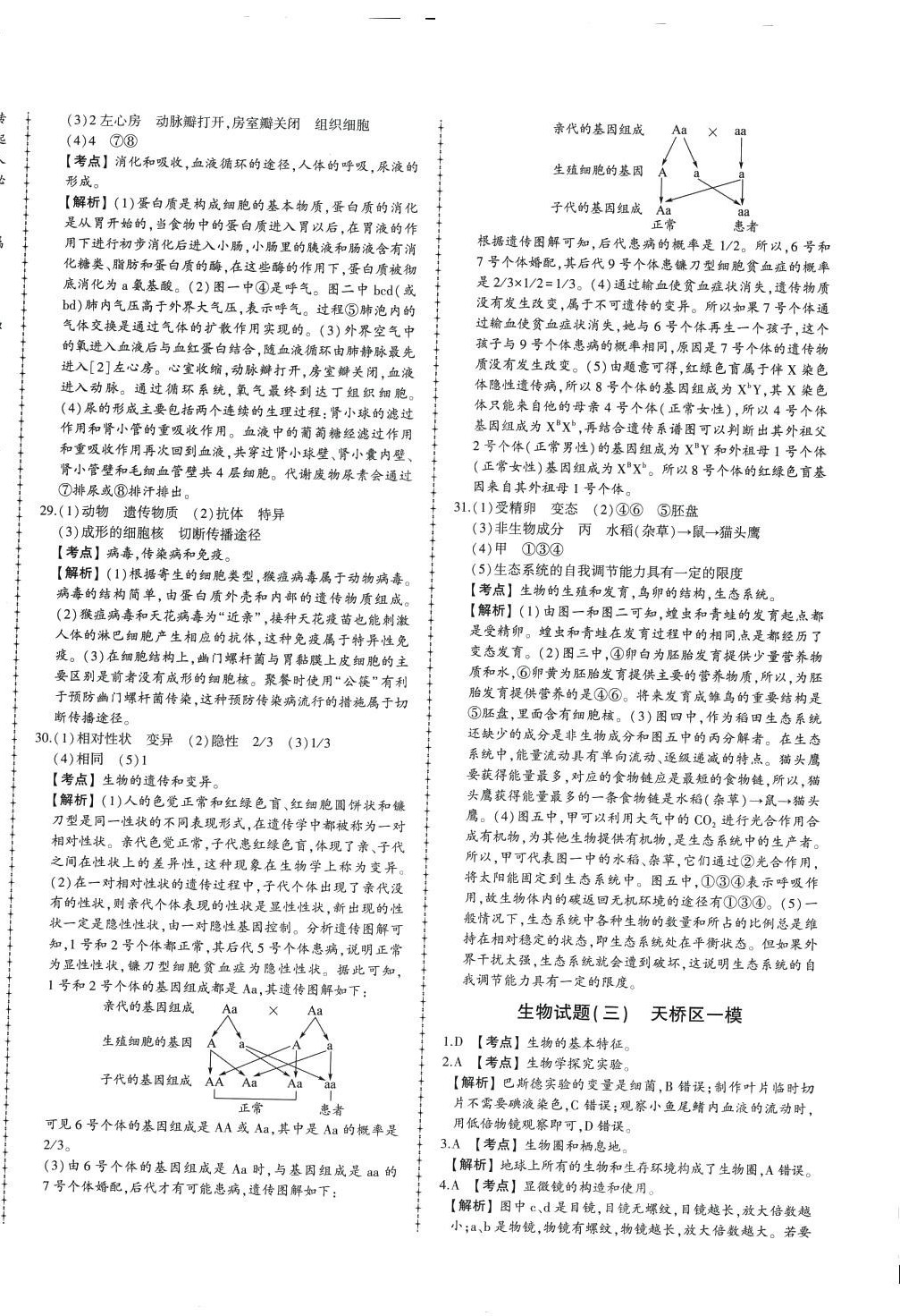 2024年中考114生物中考濟(jì)南專版&nbsp;第4頁