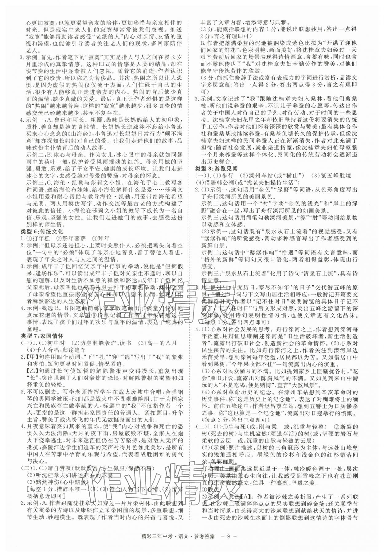 2024年精彩三年中考總復(fù)習(xí)語(yǔ)文 第9頁(yè)