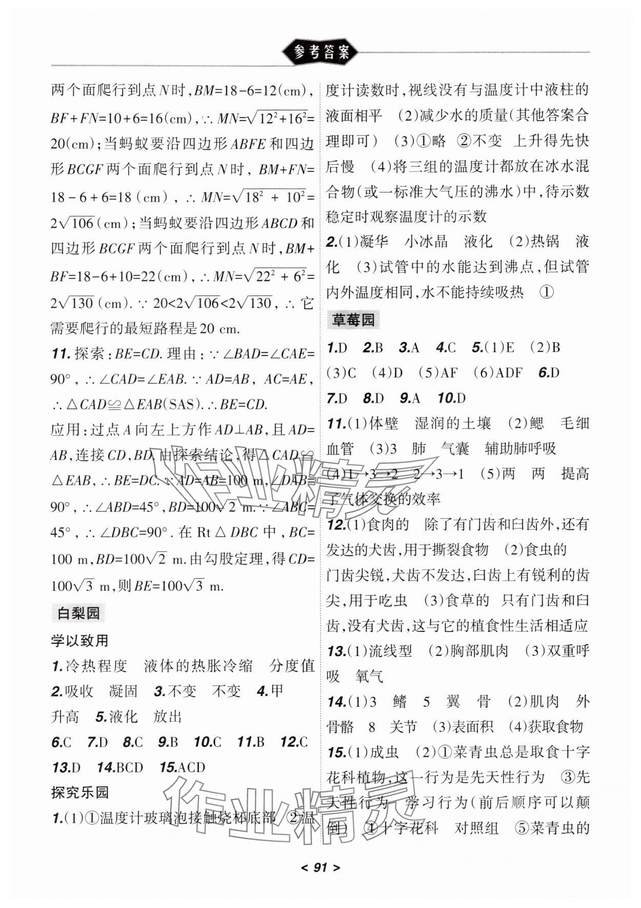 2025年寒假樂園遼寧師范大學(xué)出版社八年級理科JZ 參考答案第2頁