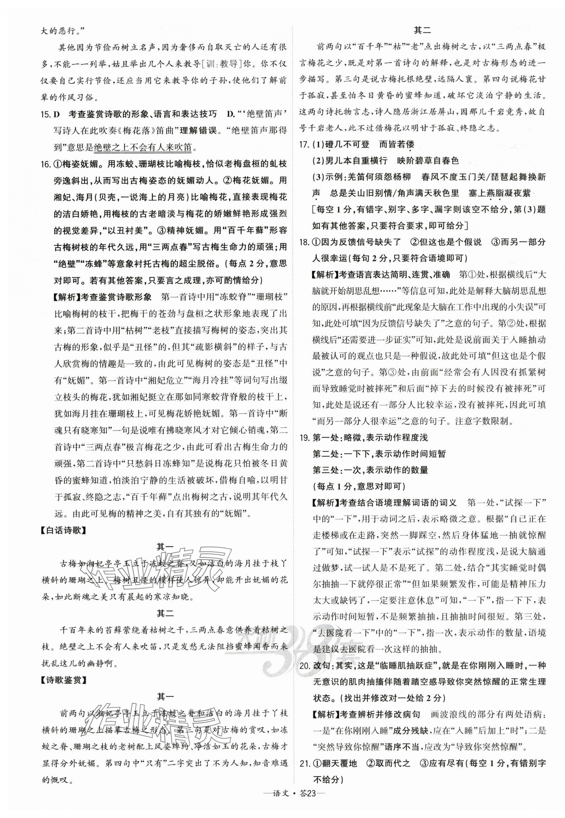 2025年高考模擬試題匯編高中語文 第23頁