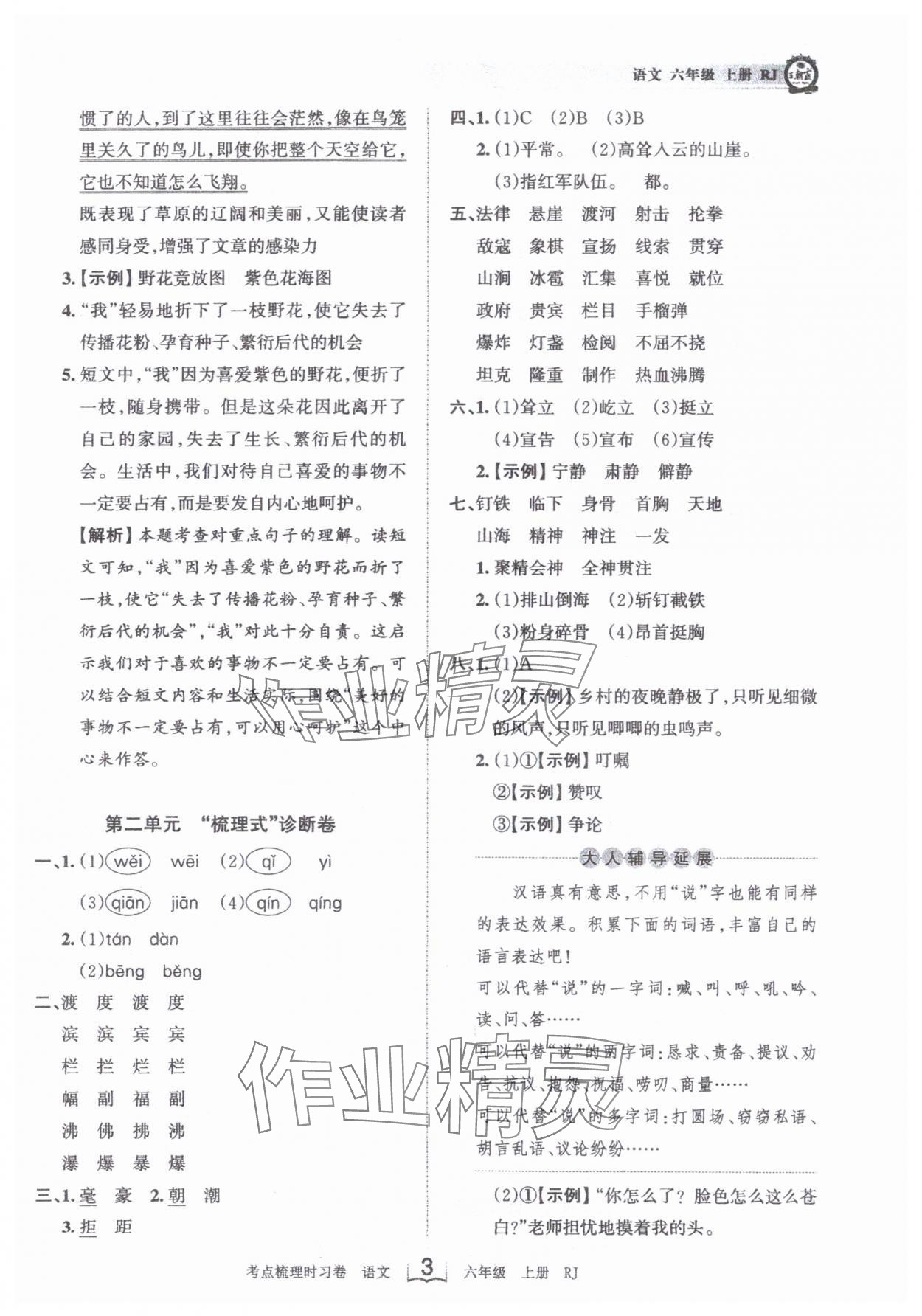 2024年王朝霞考点梳理时习卷六年级语文上册人教版 第3页