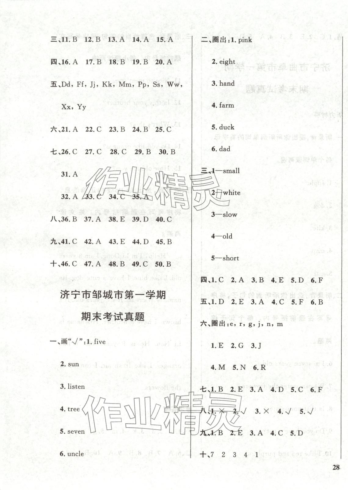 2025年濟寧真題匯編三年級英語上冊人教版&nbsp;第3頁