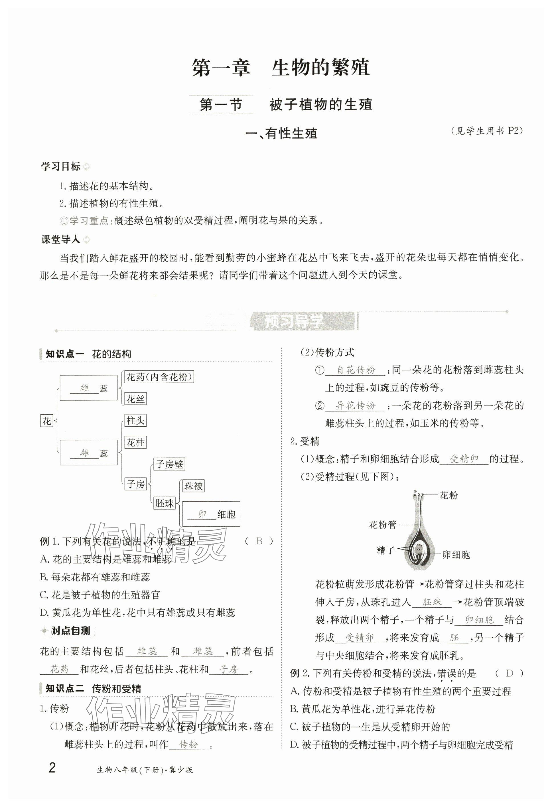 2025年金太陽導(dǎo)學案八年級生物下冊冀少版 參考答案第2頁