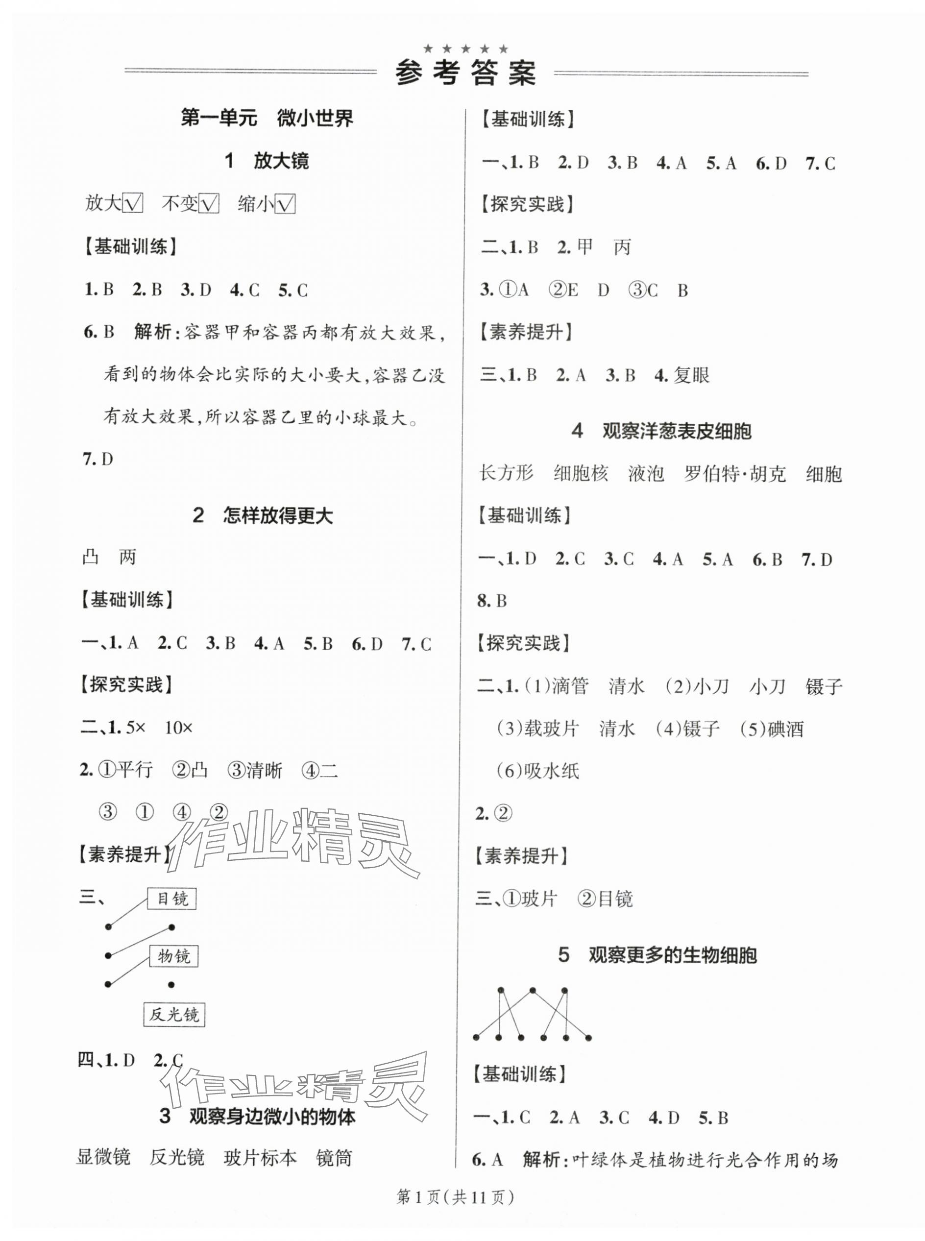 2025年小學(xué)學(xué)霸作業(yè)本六年級科學(xué)上冊教科版 參考答案第1頁