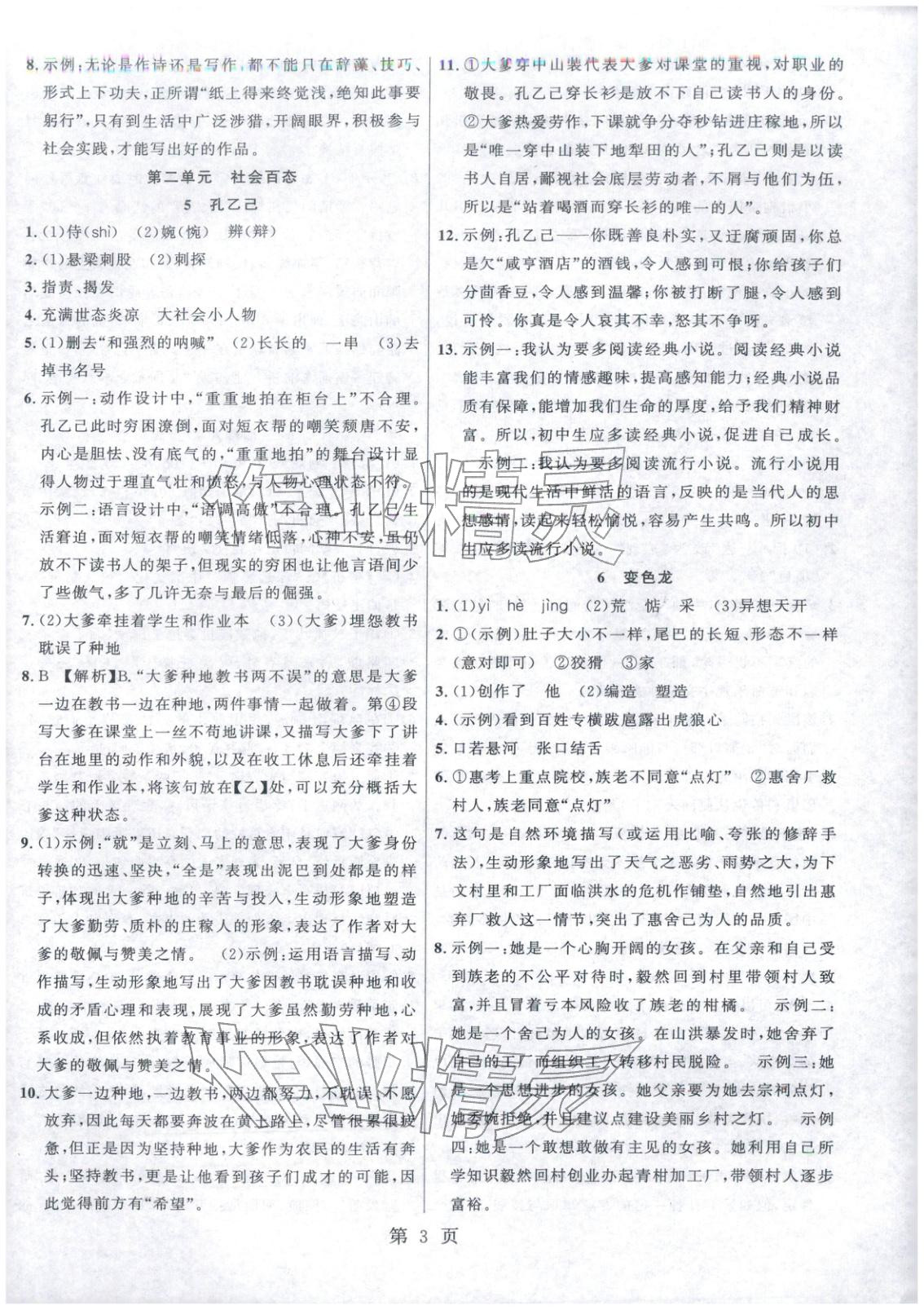 2026年课时夺冠九年级语文下册人教版河南专版&nbsp;第3页