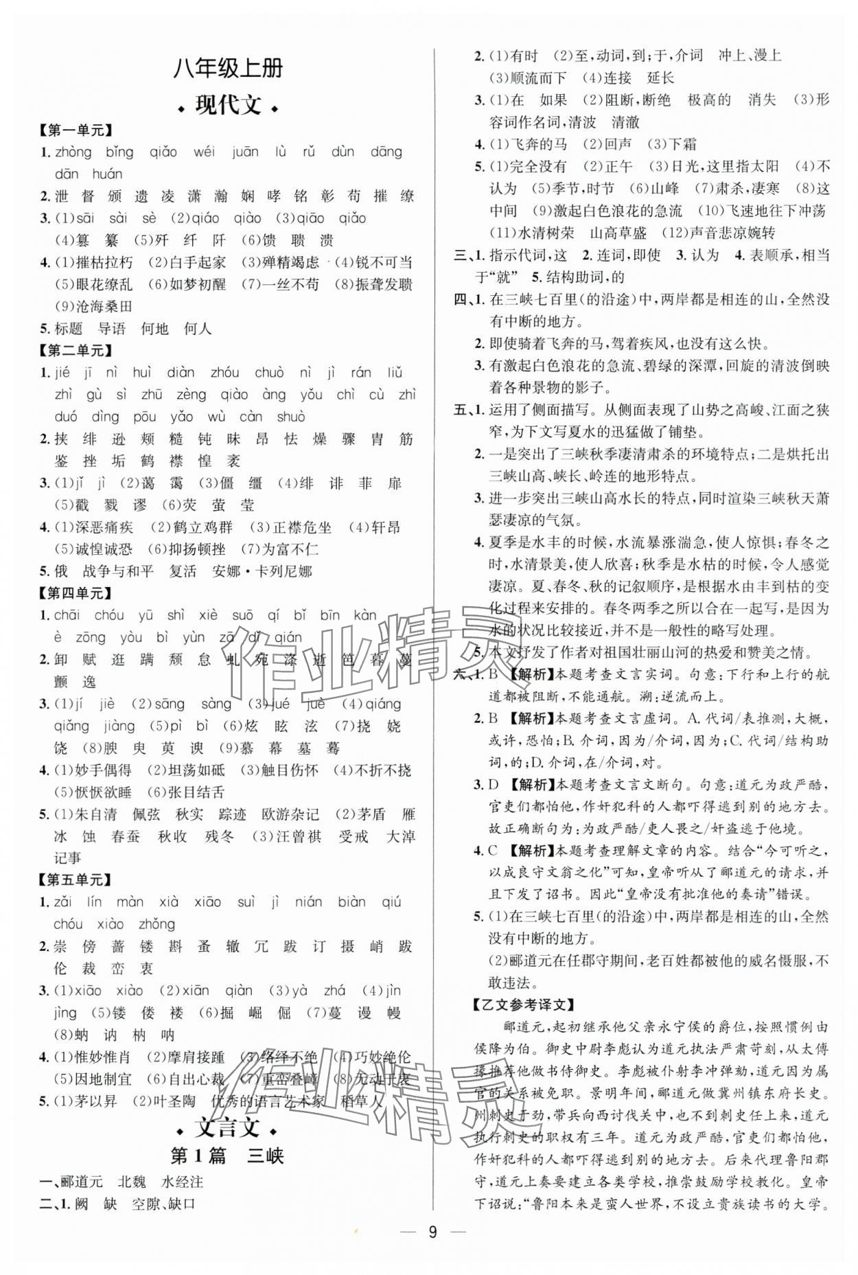 2024年中考对策语文 参考答案第9页